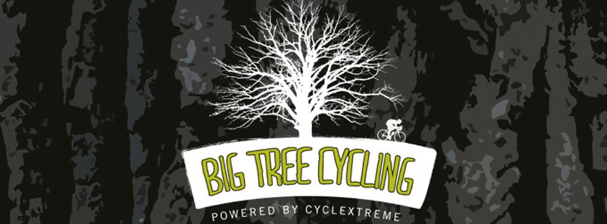 430359 385074574843910 1335856878 n