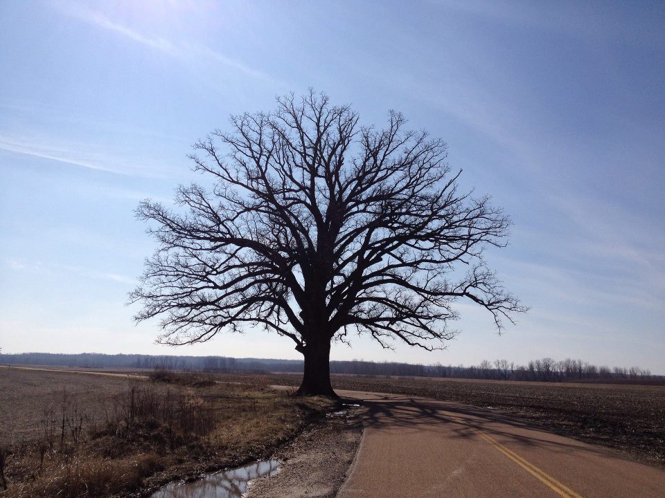 431090 385063841511650 1486799169 n