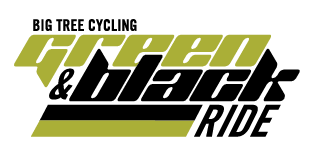 BTCGreenandBlackLogo