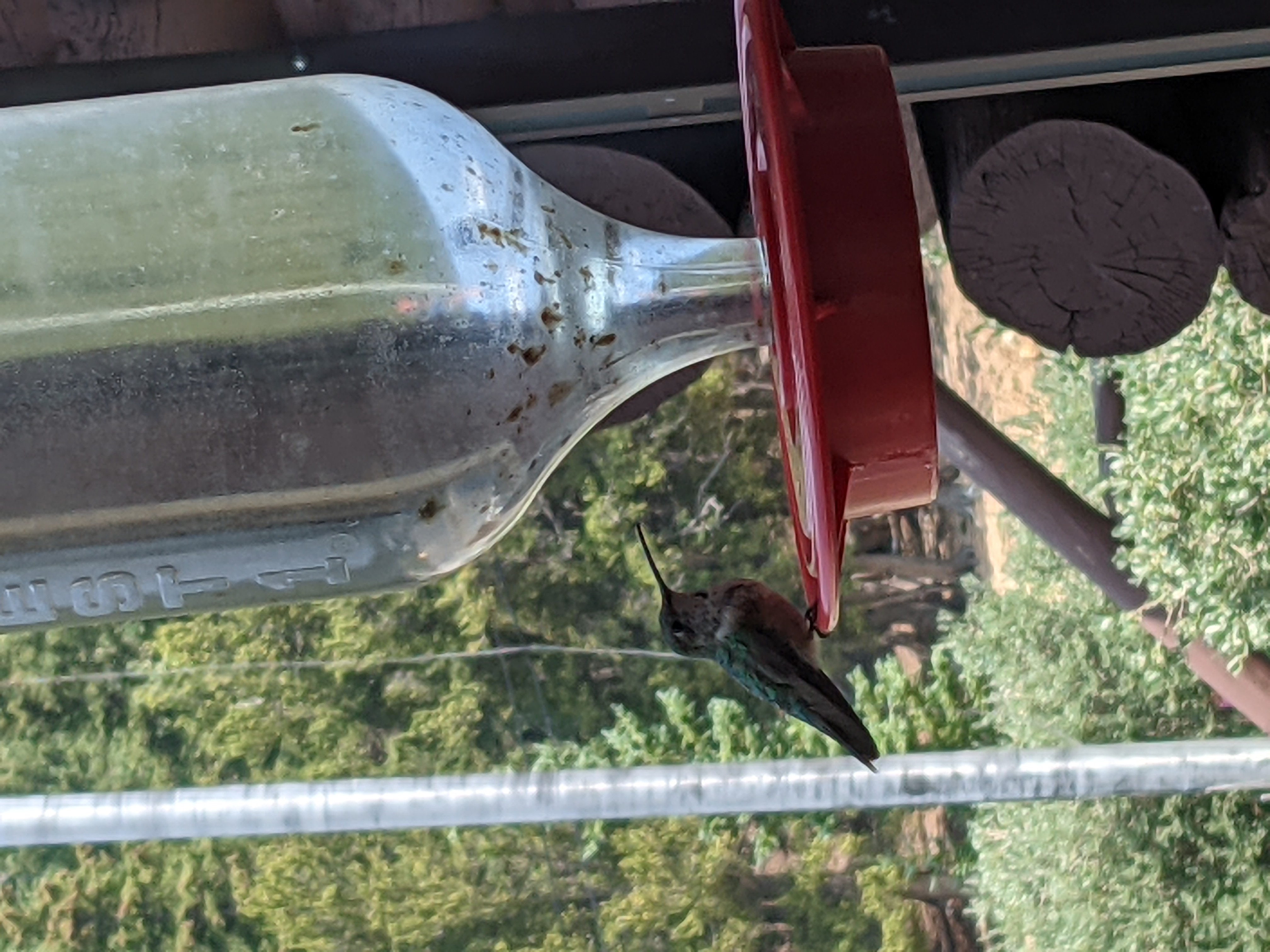 PXL 20210805 172939023