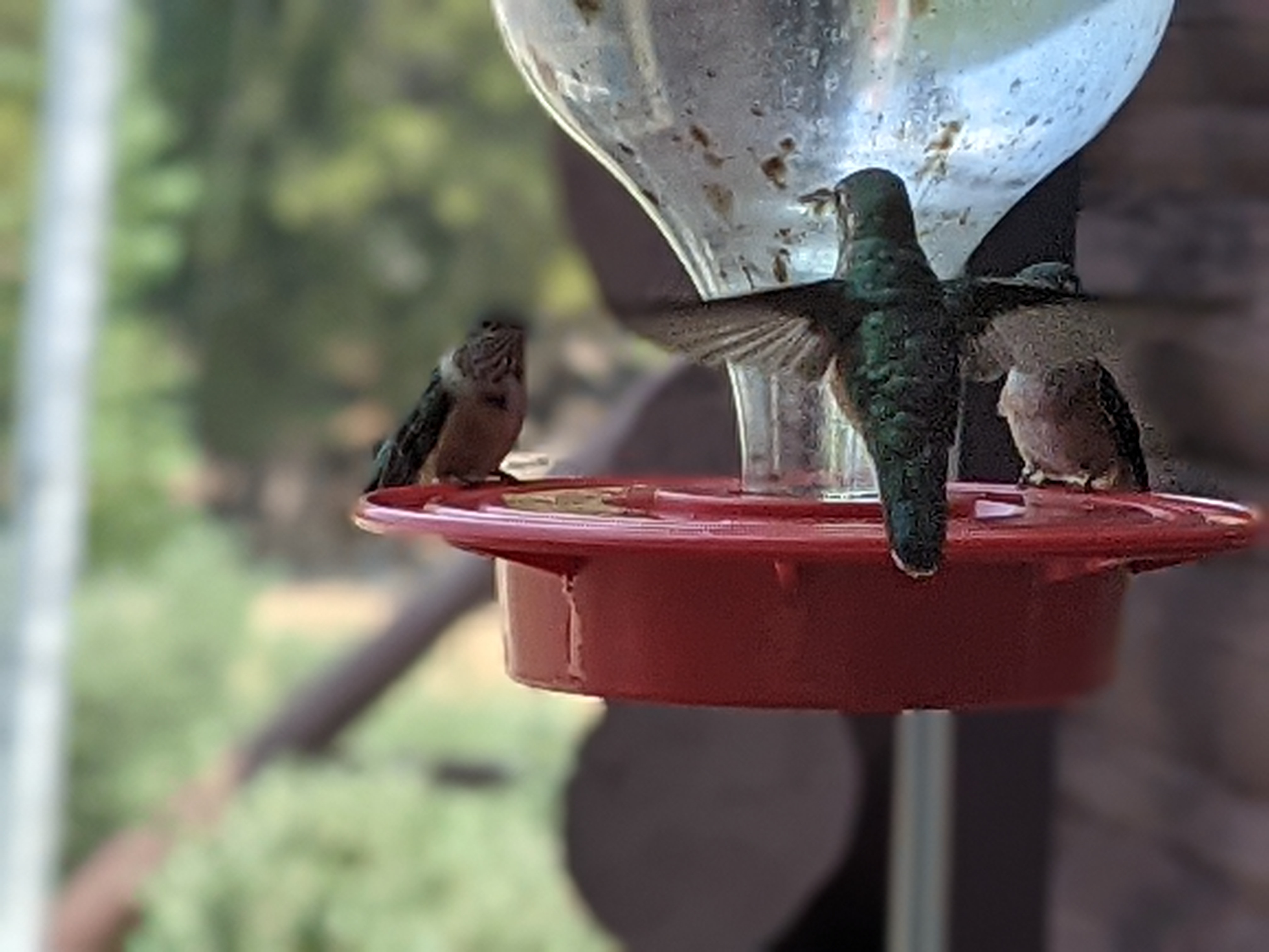 PXL 20210805 173321840.PORTRAIT