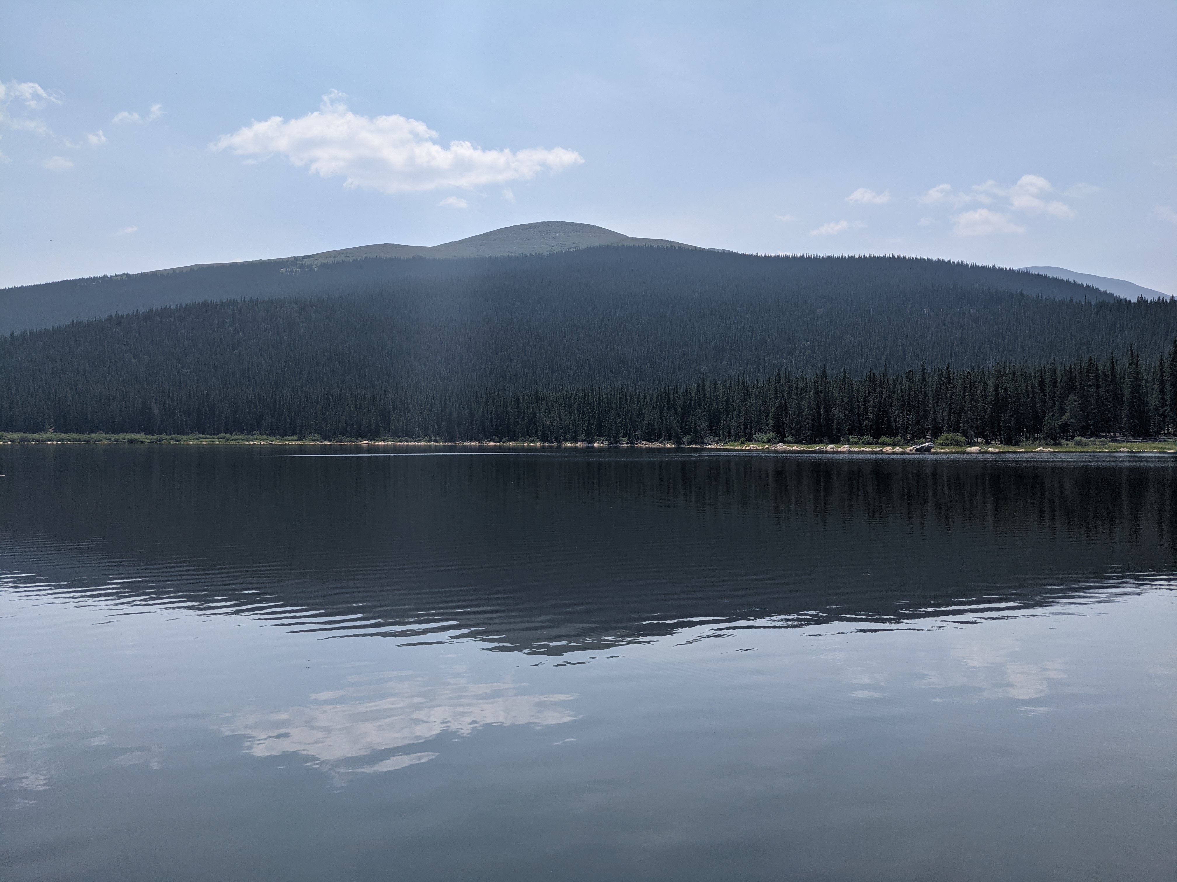 PXL 20210805 183139727