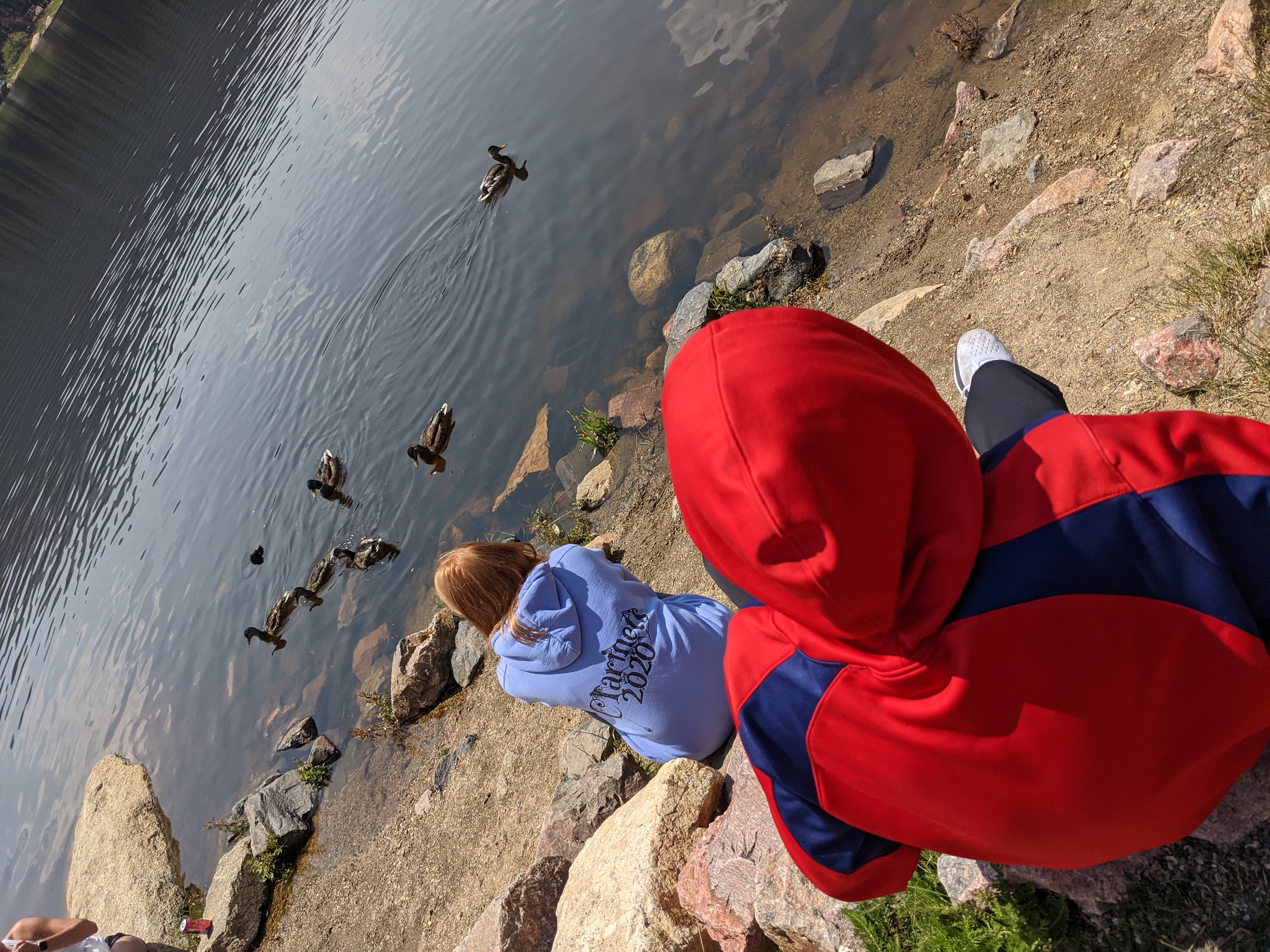 PXL 20210805 183304495