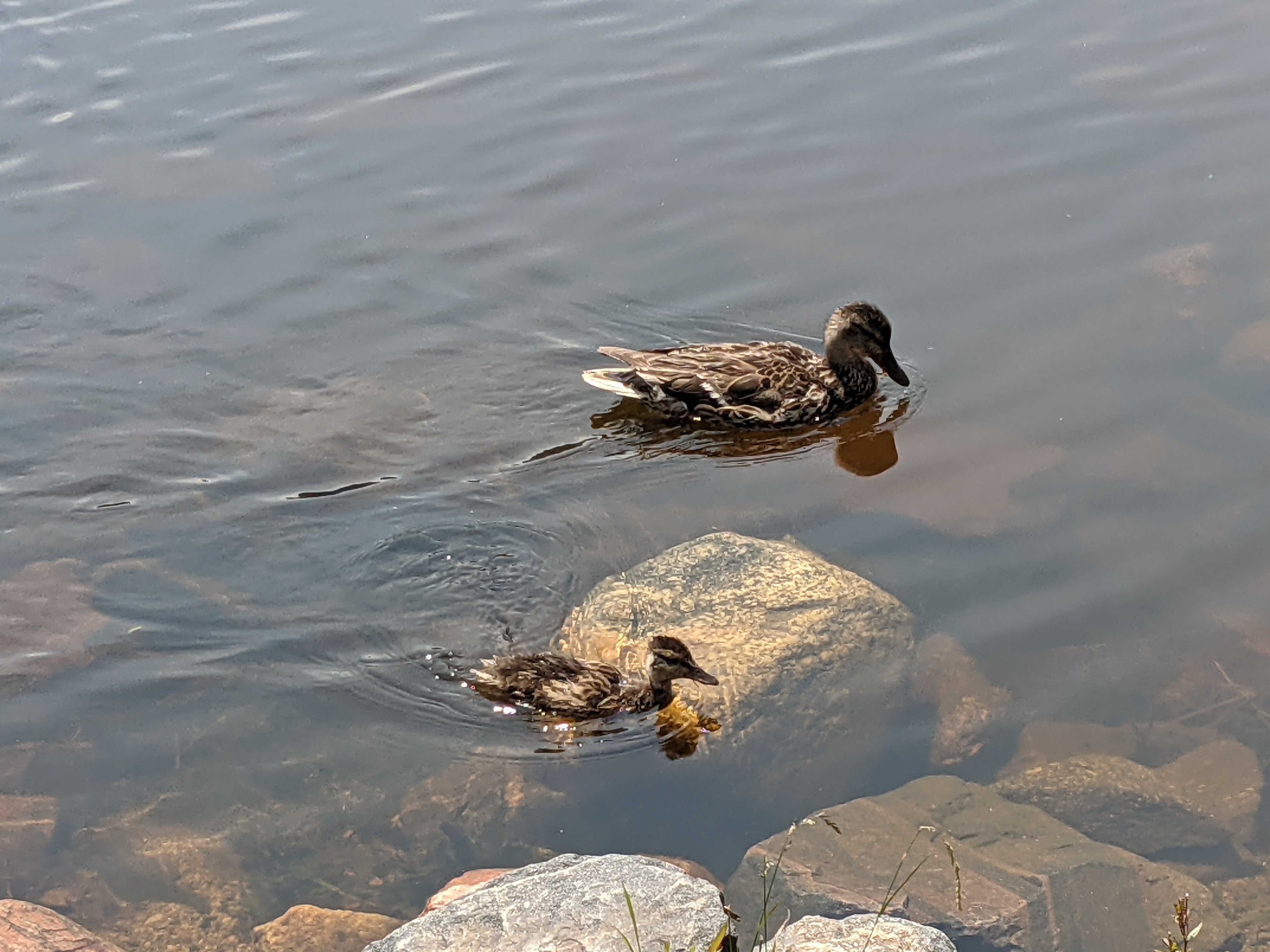 PXL 20210805 184318957