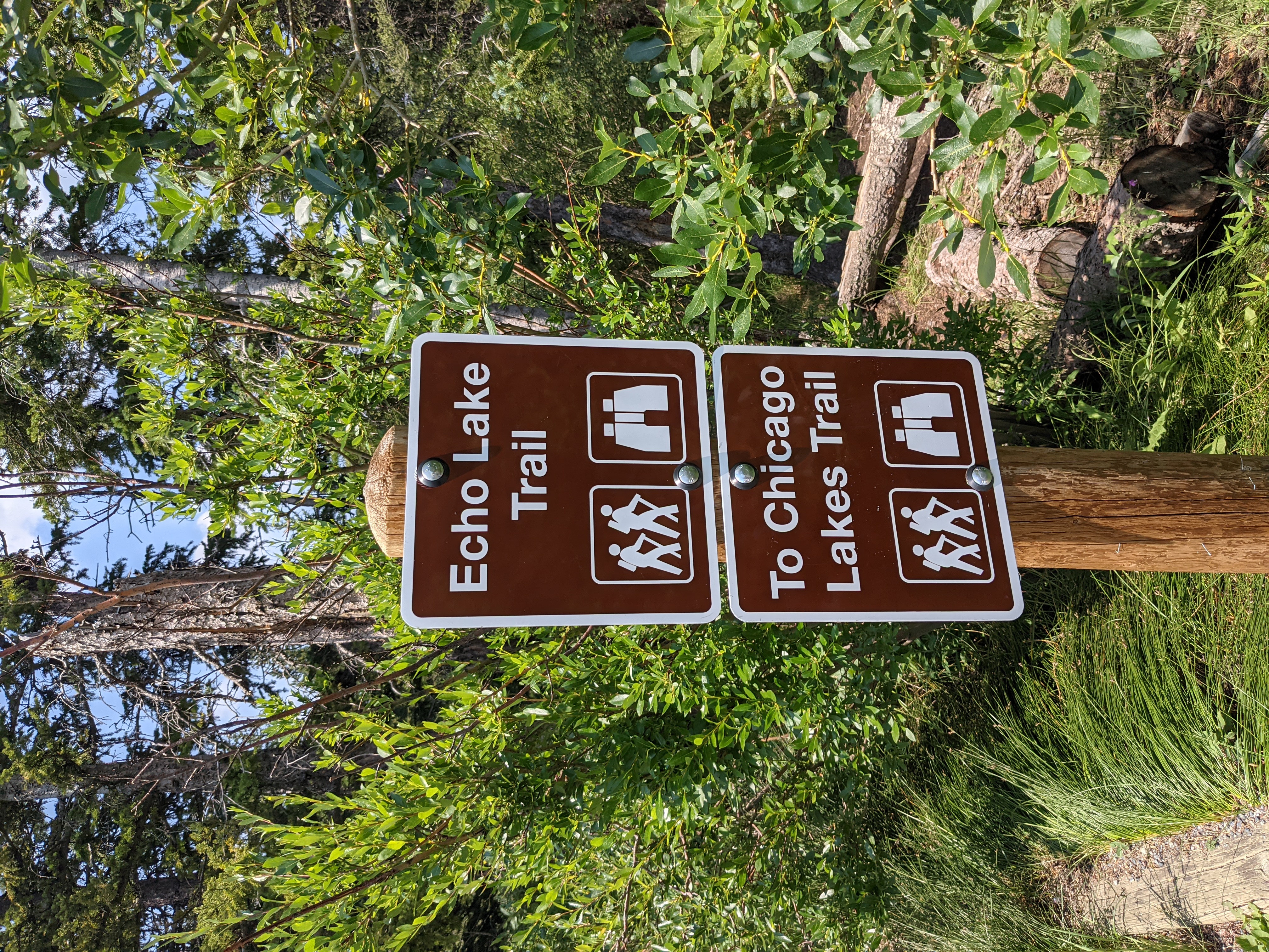 PXL 20210805 184951491