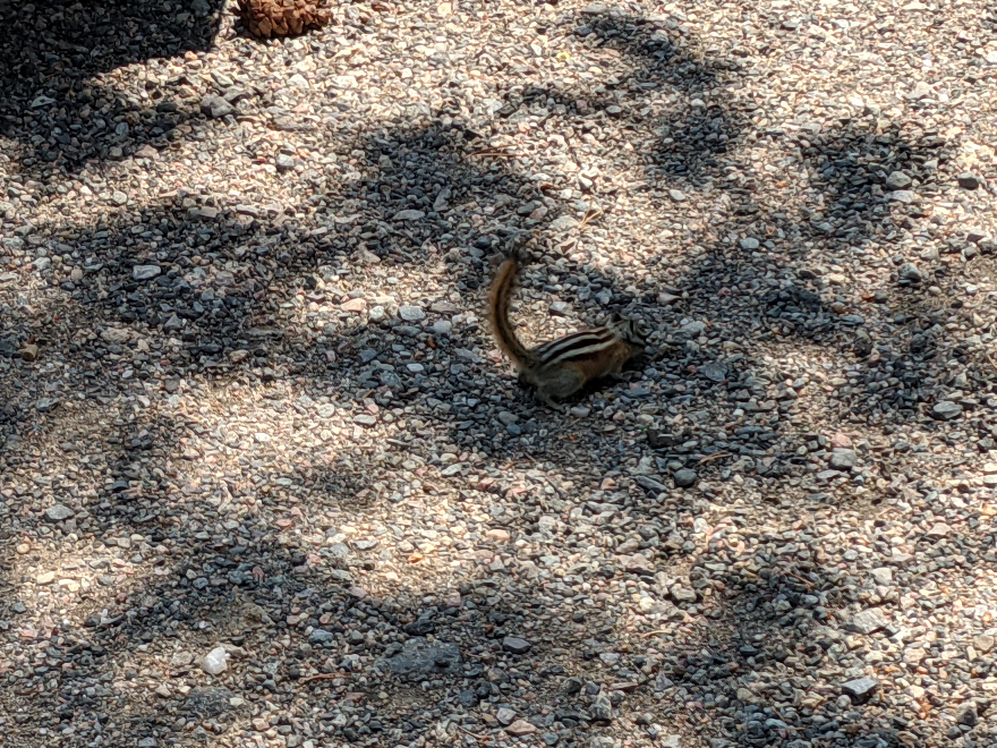 PXL 20210805 191058612