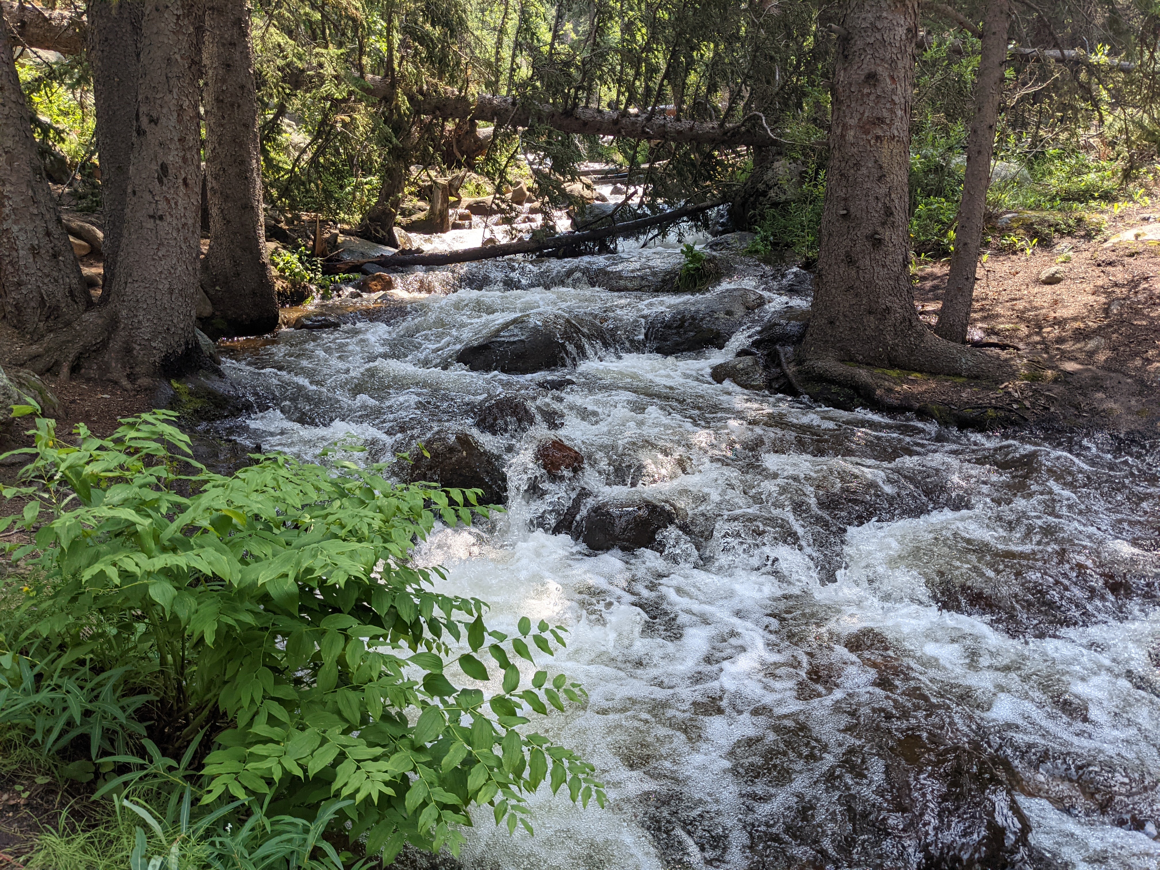 PXL 20210805 200709180