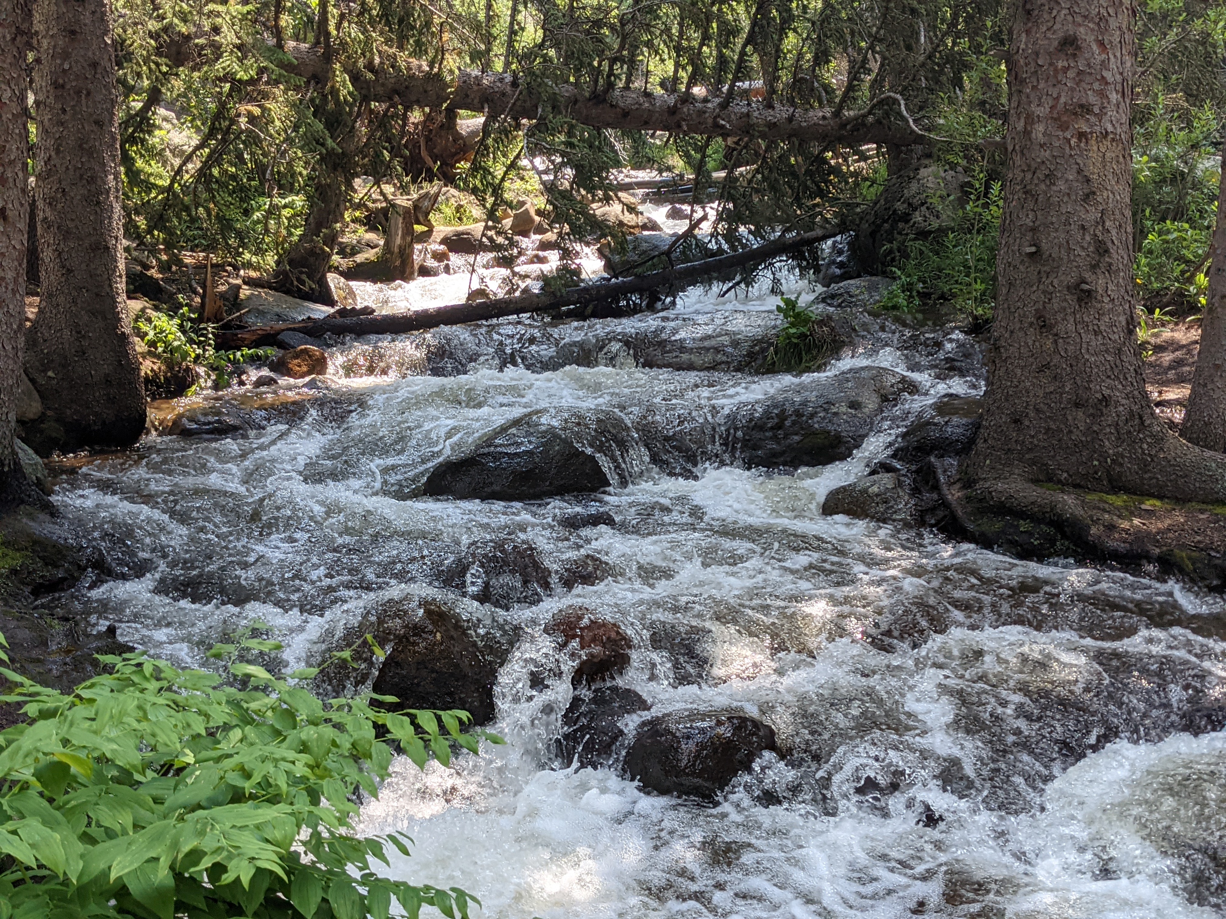 PXL 20210805 200719821.PORTRAIT