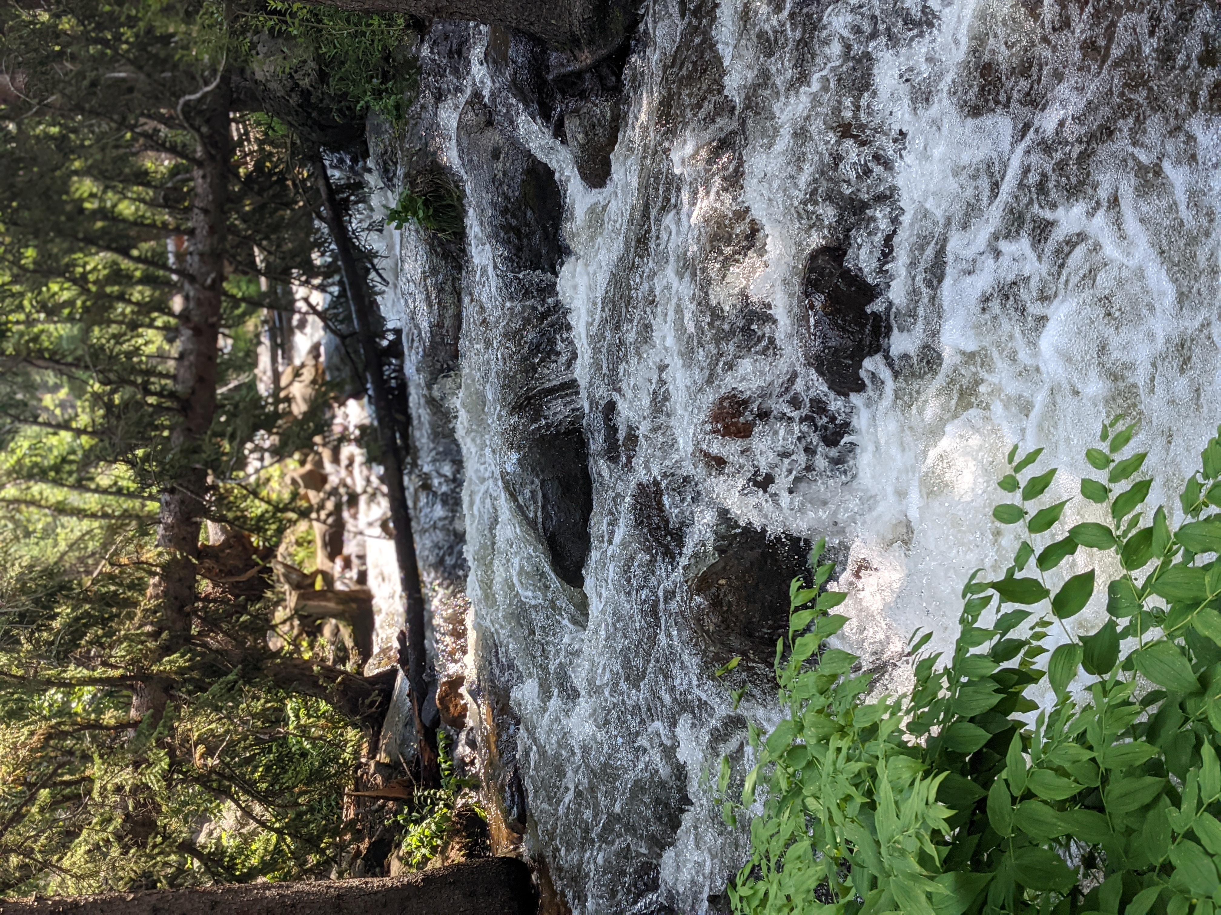 PXL 20210805 200730177.PORTRAIT