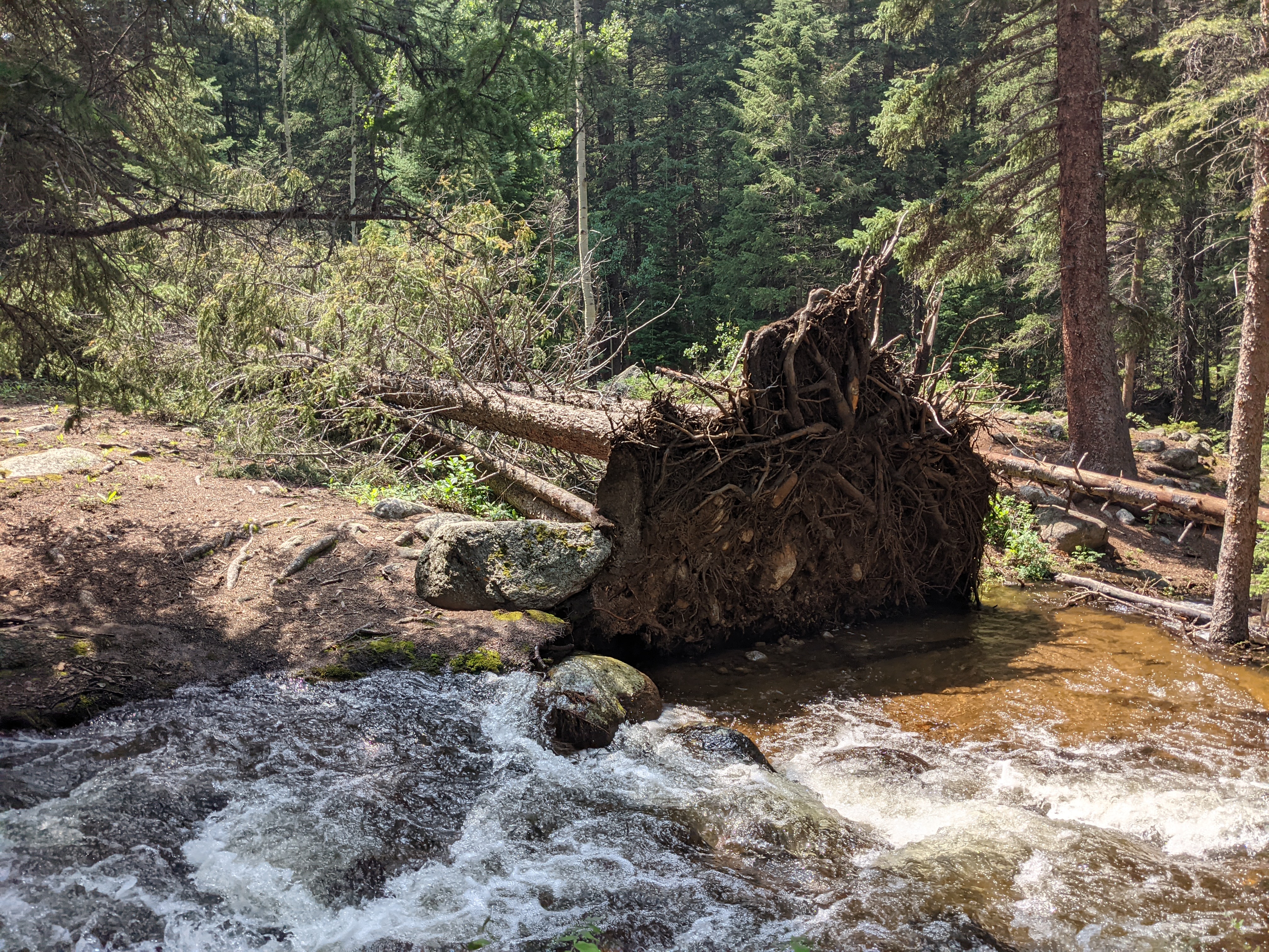 PXL 20210805 200918107