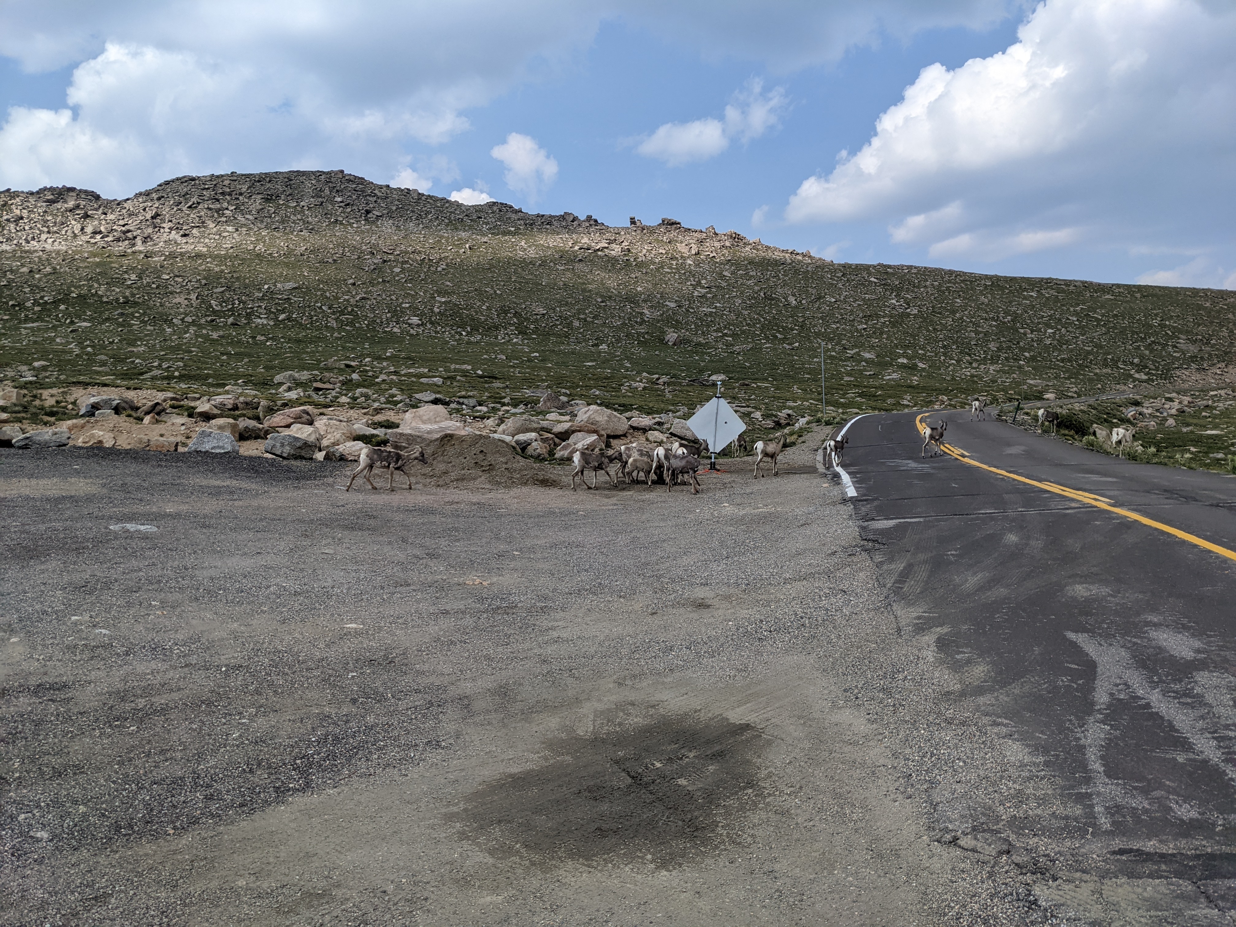 PXL 20210805 205644650