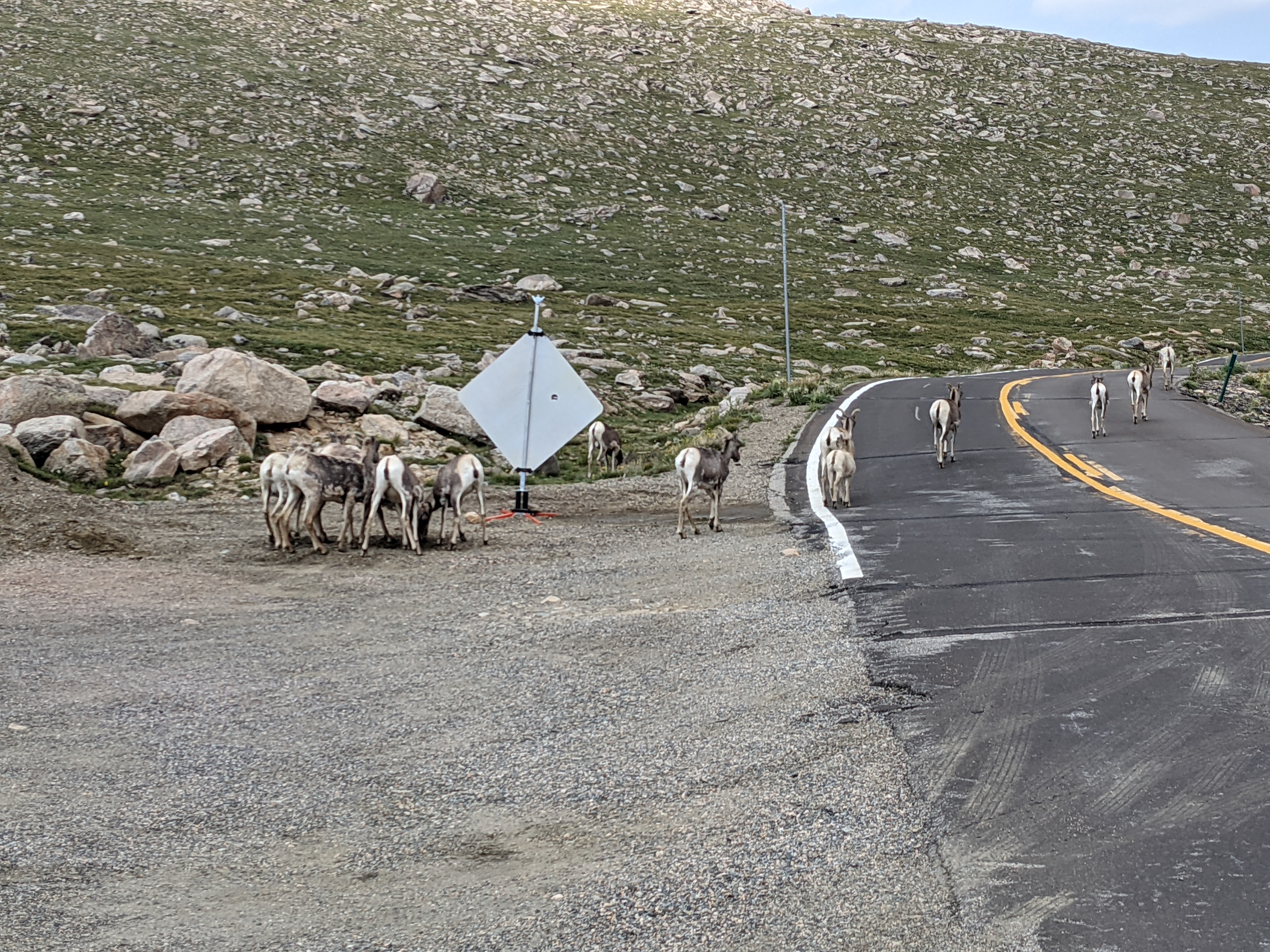 PXL 20210805 205654383