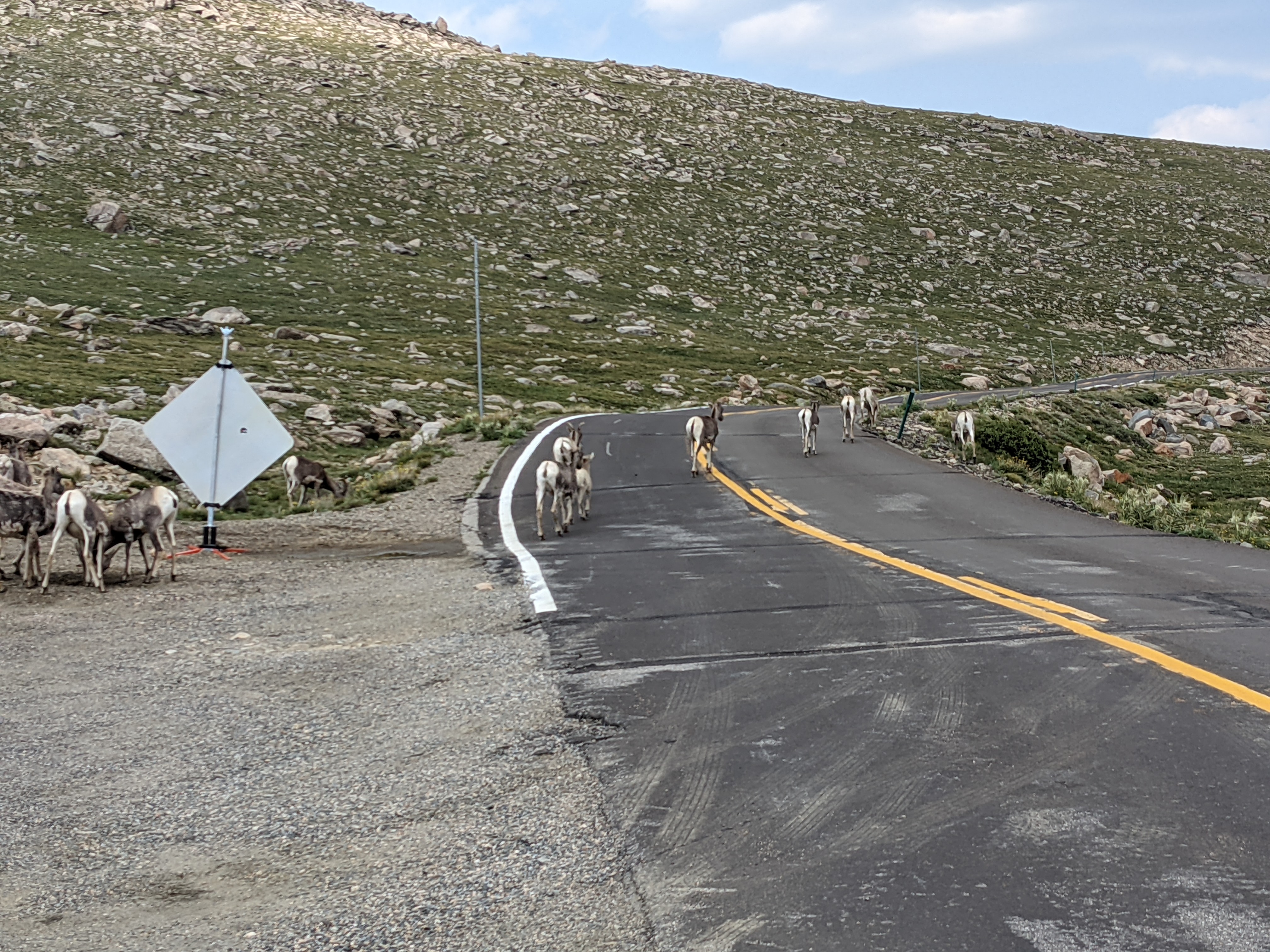 PXL 20210805 205658585