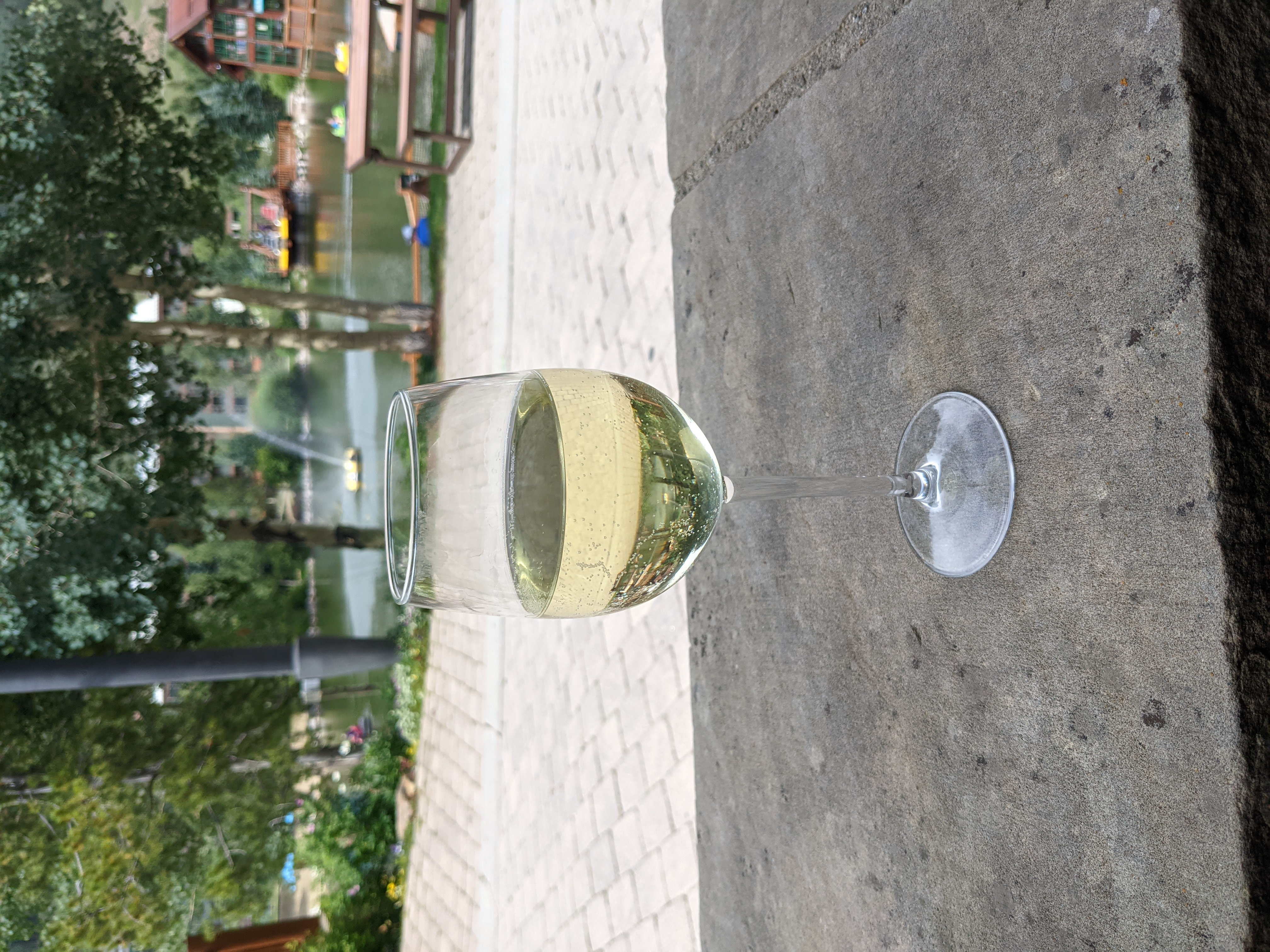 PXL 20210806 211413968