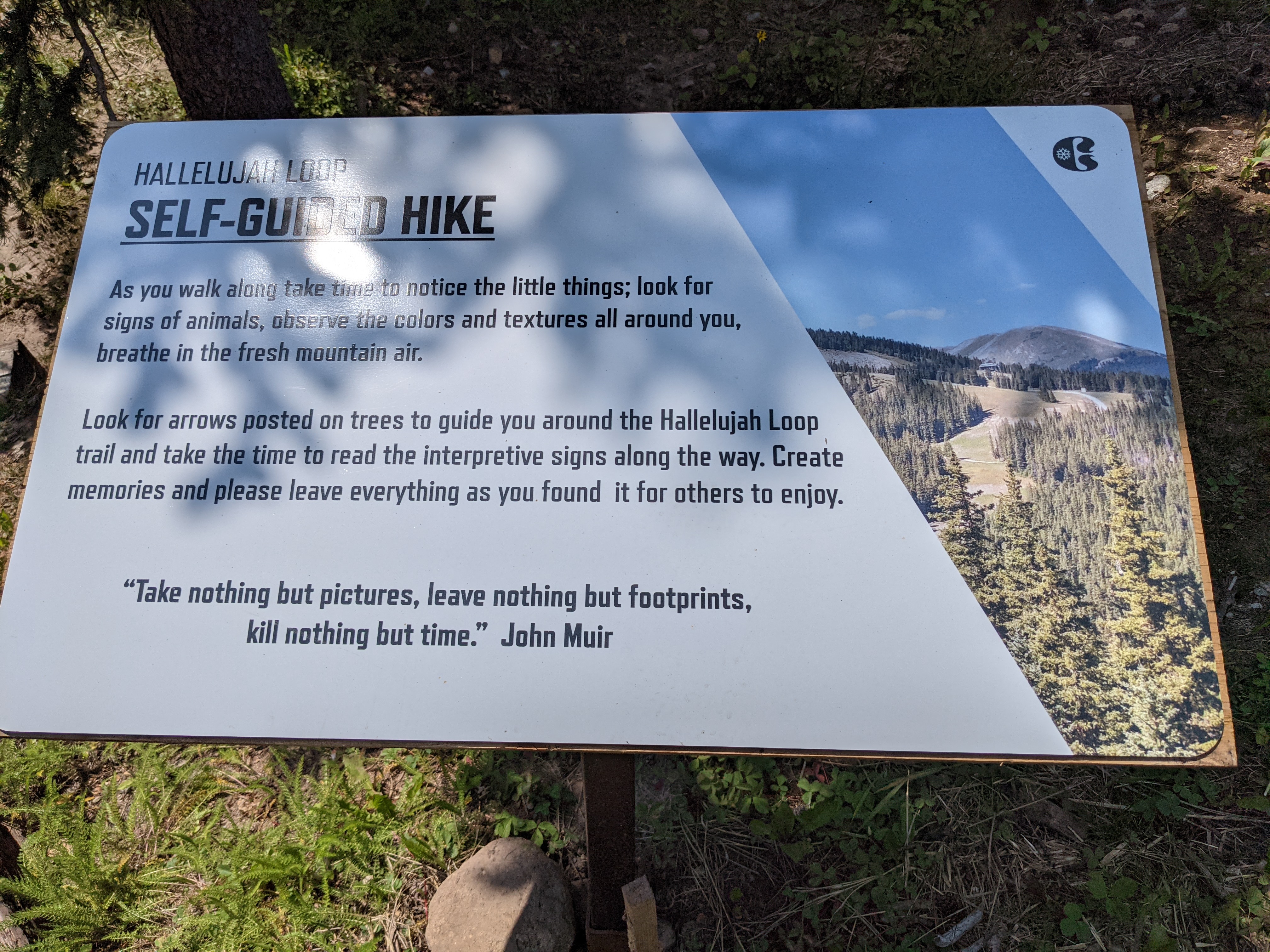 PXL 20210808 181602068