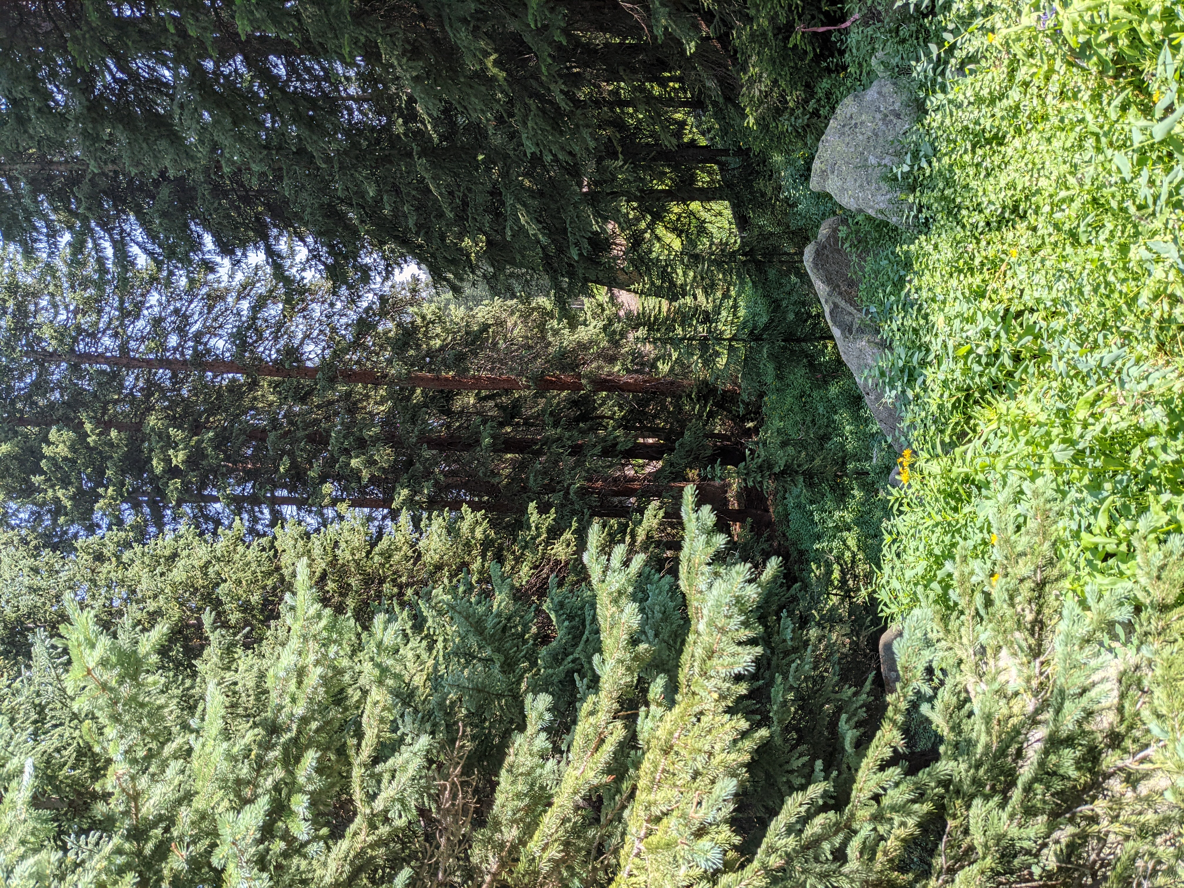 PXL 20210808 181954719