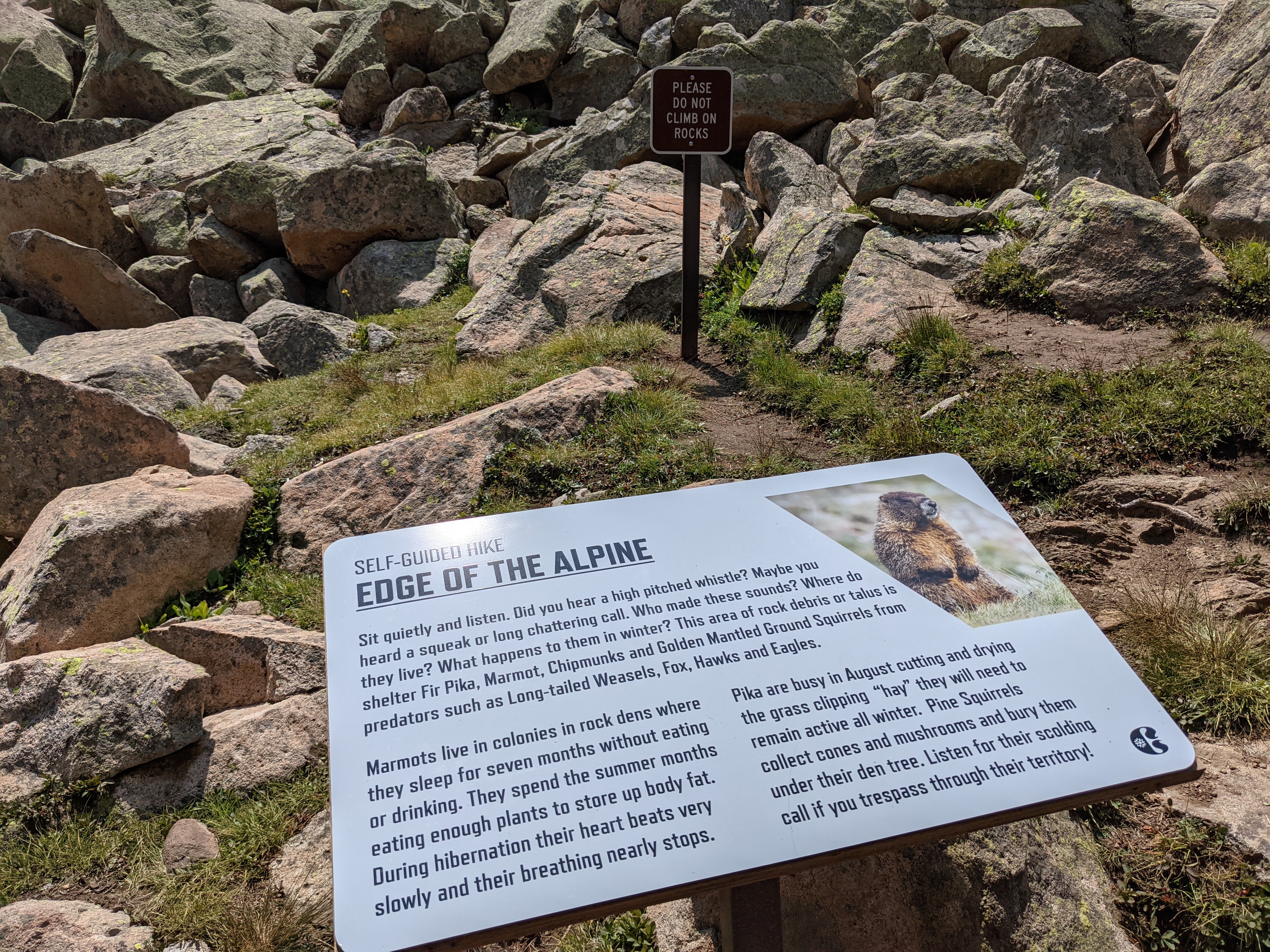 PXL 20210808 182935912