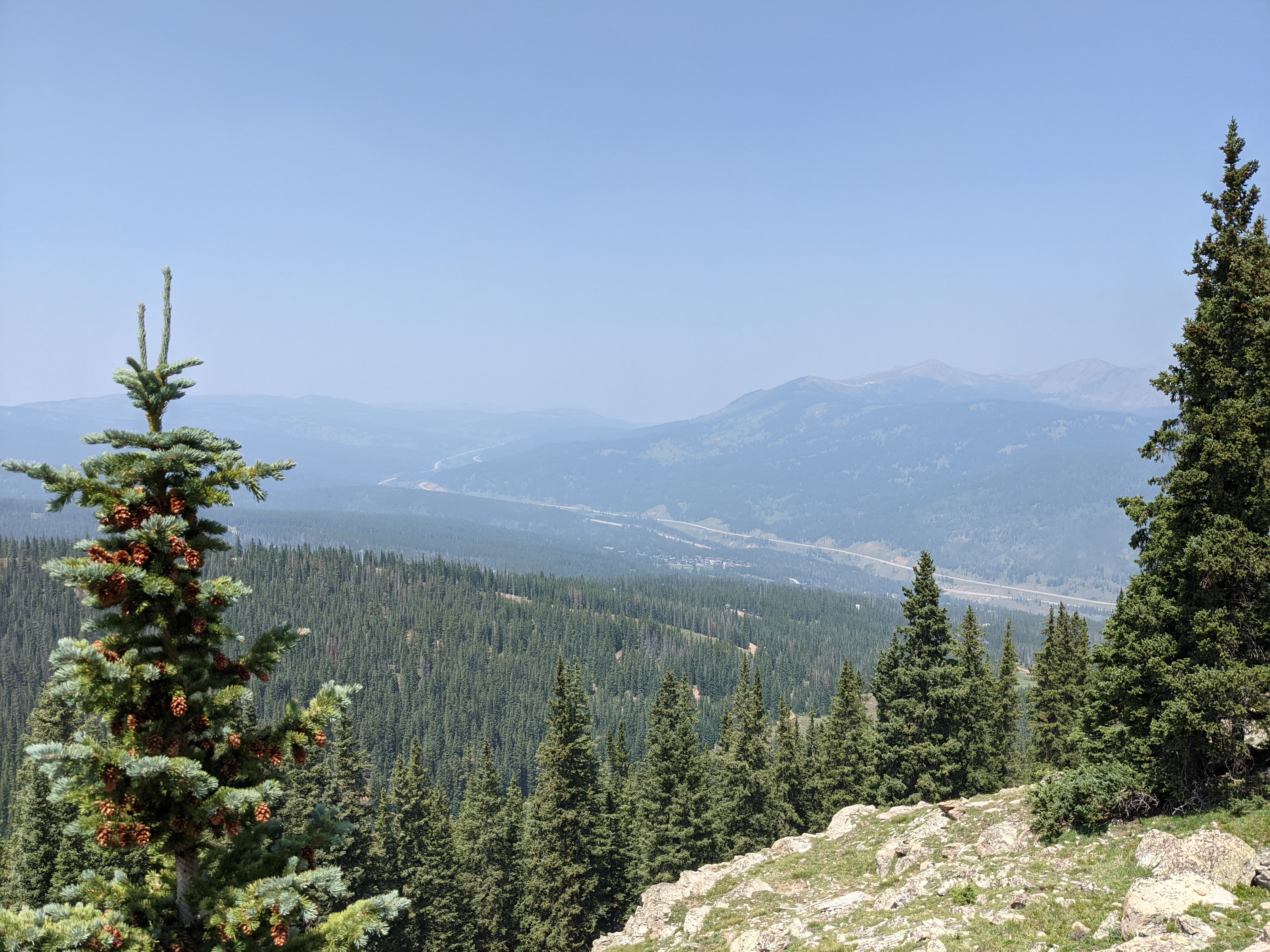 PXL 20210808 184719123