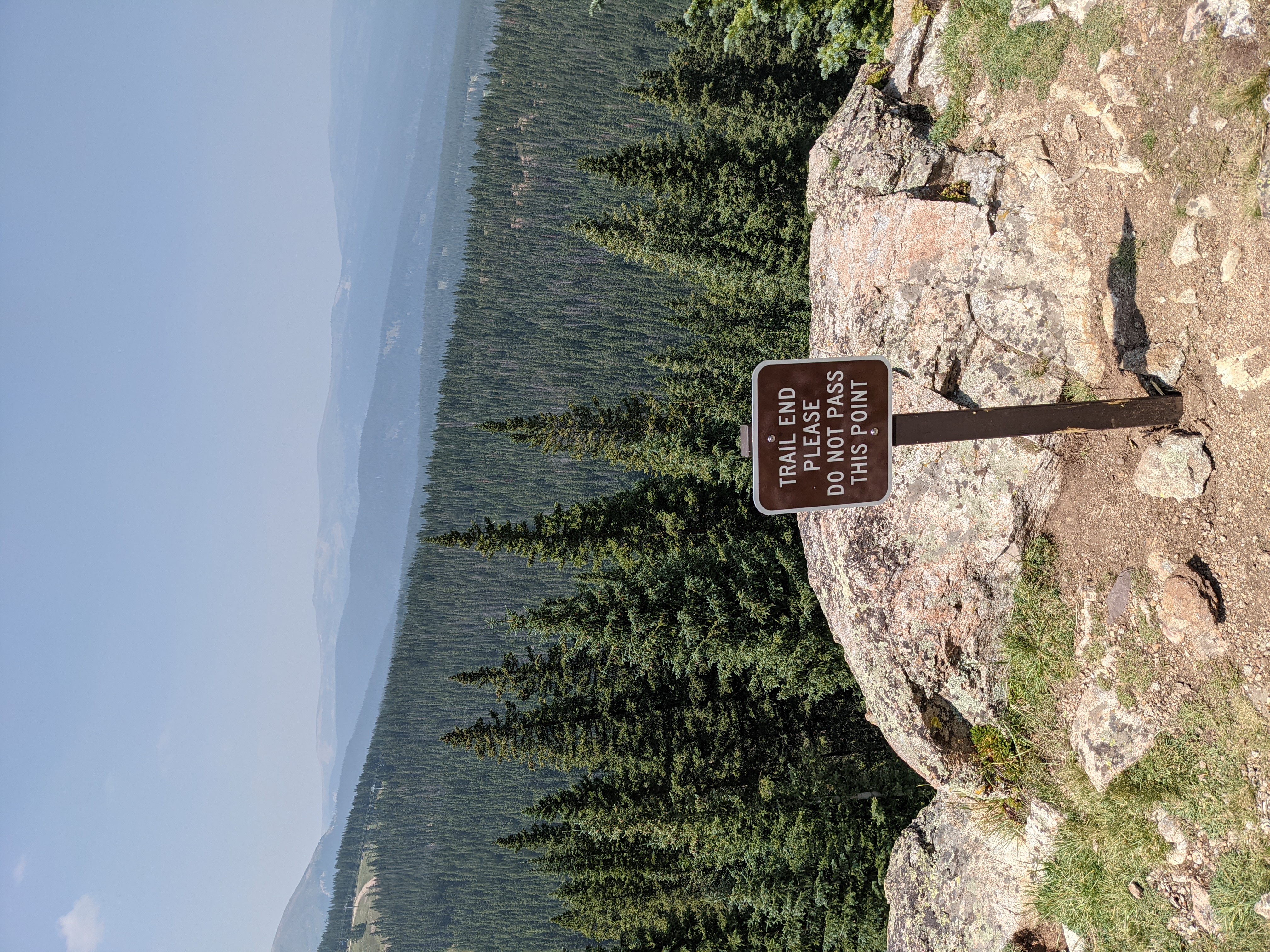 PXL 20210808 184905639