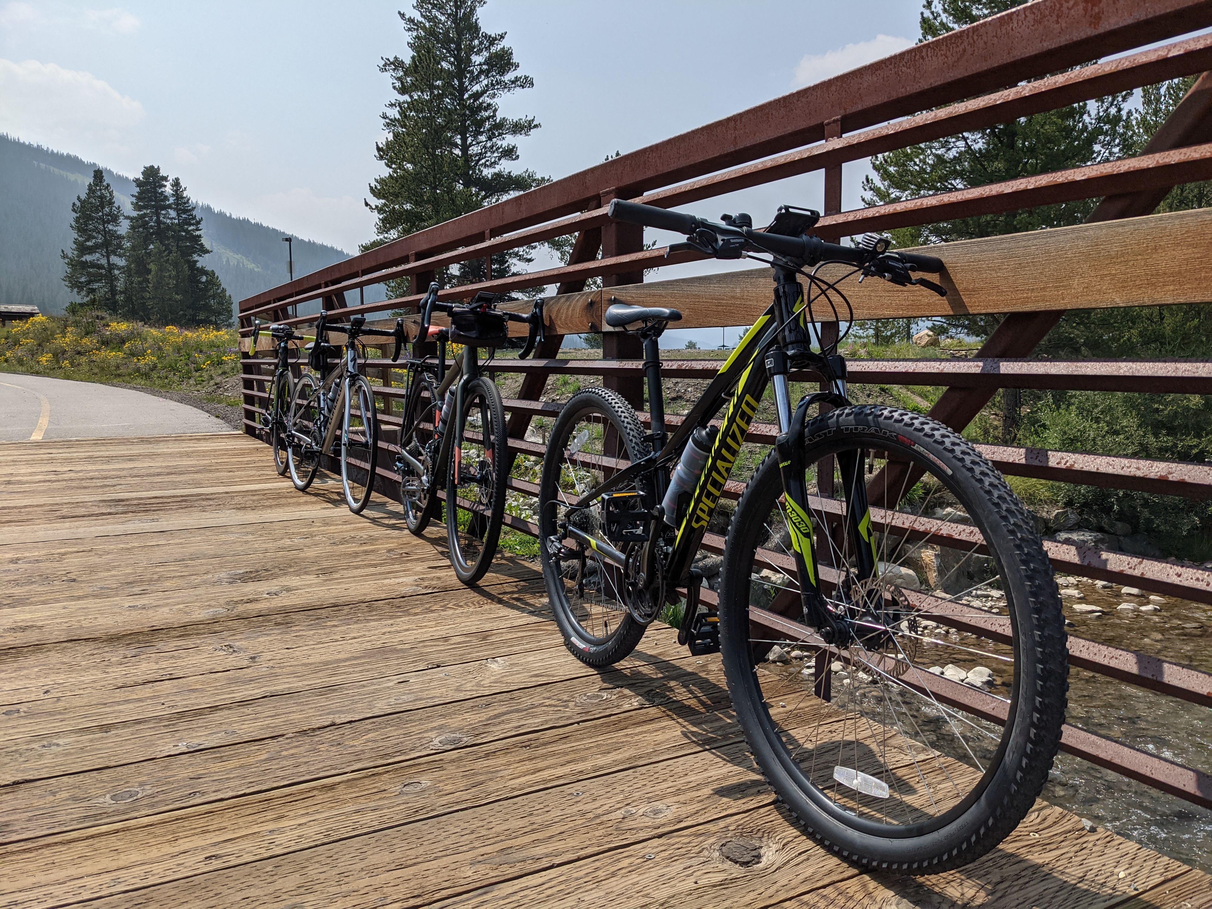 PXL 20210808 205205646