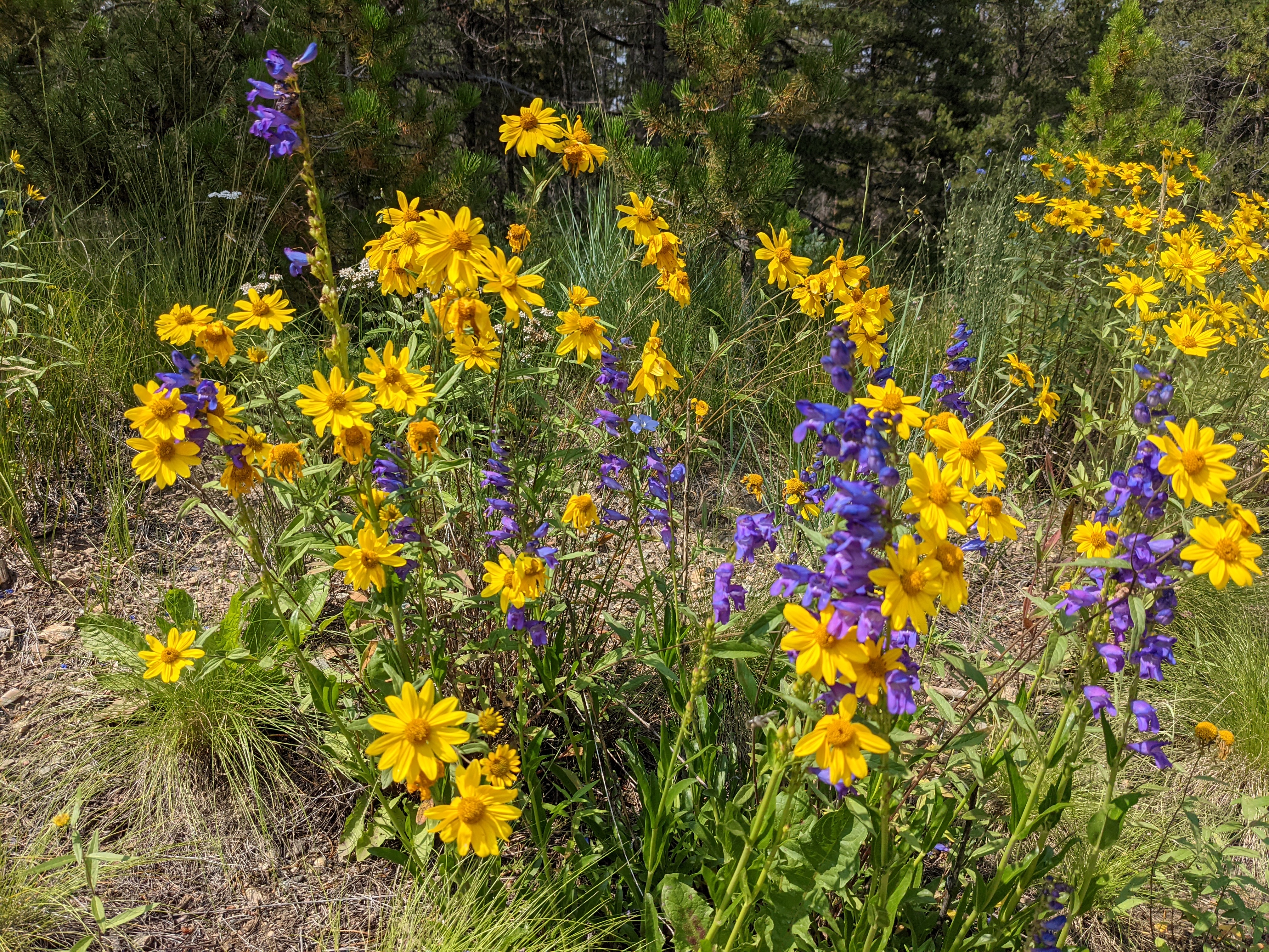 PXL 20210808 210205042.MP