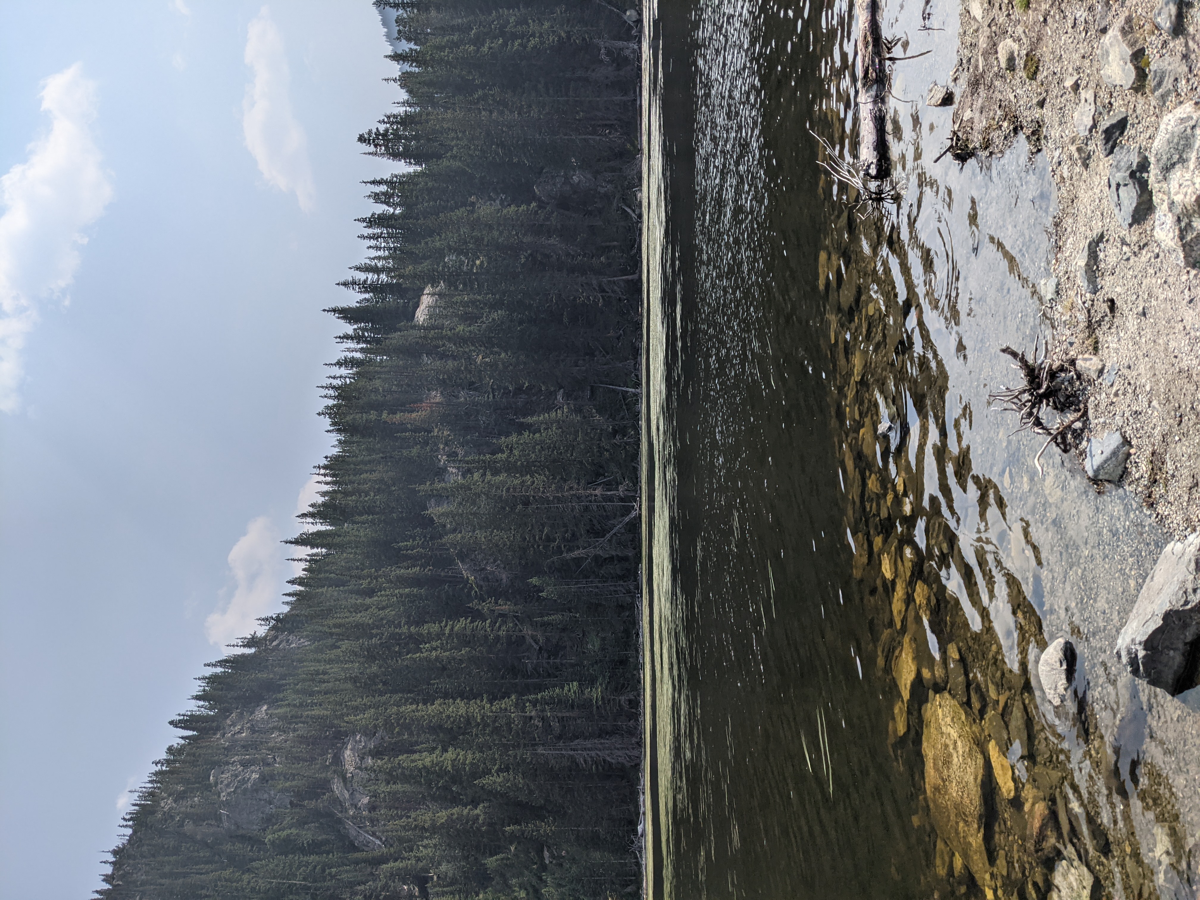 PXL 20210808 212725276