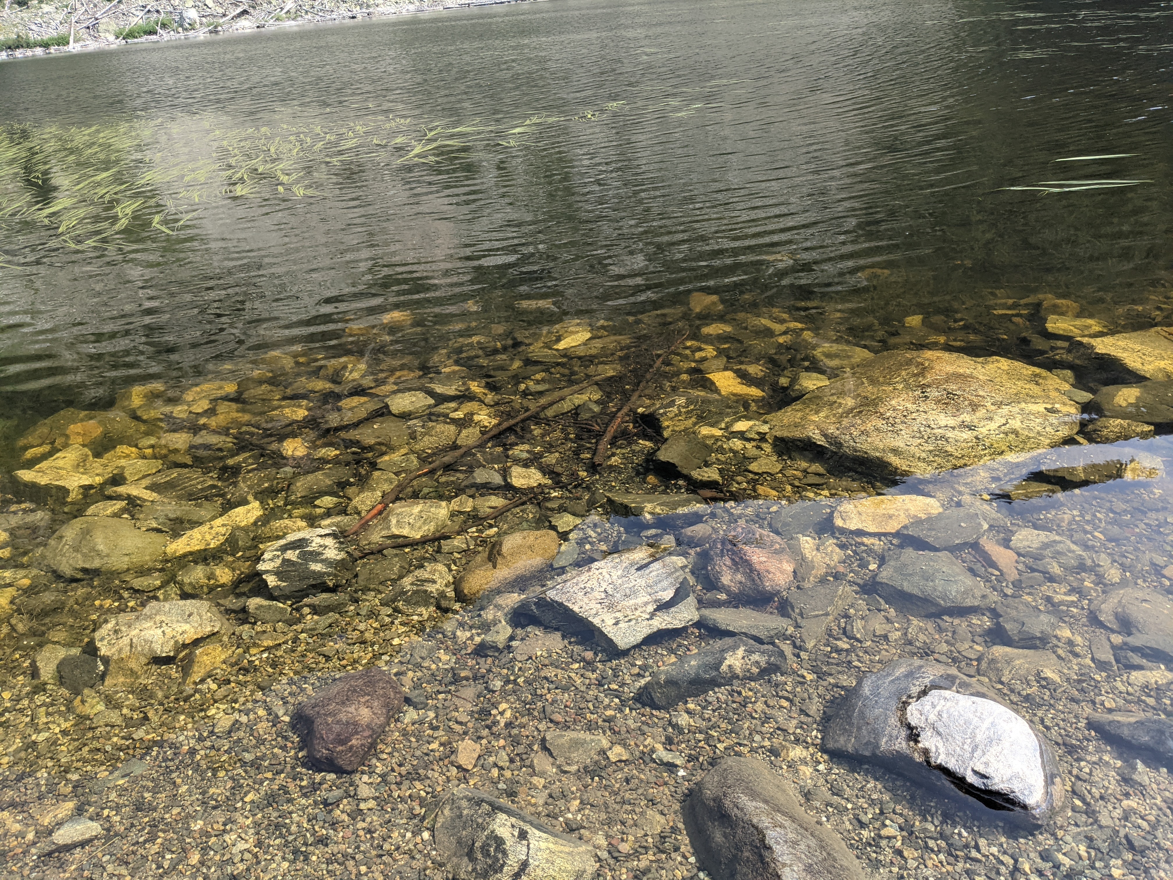 PXL 20210808 212950436