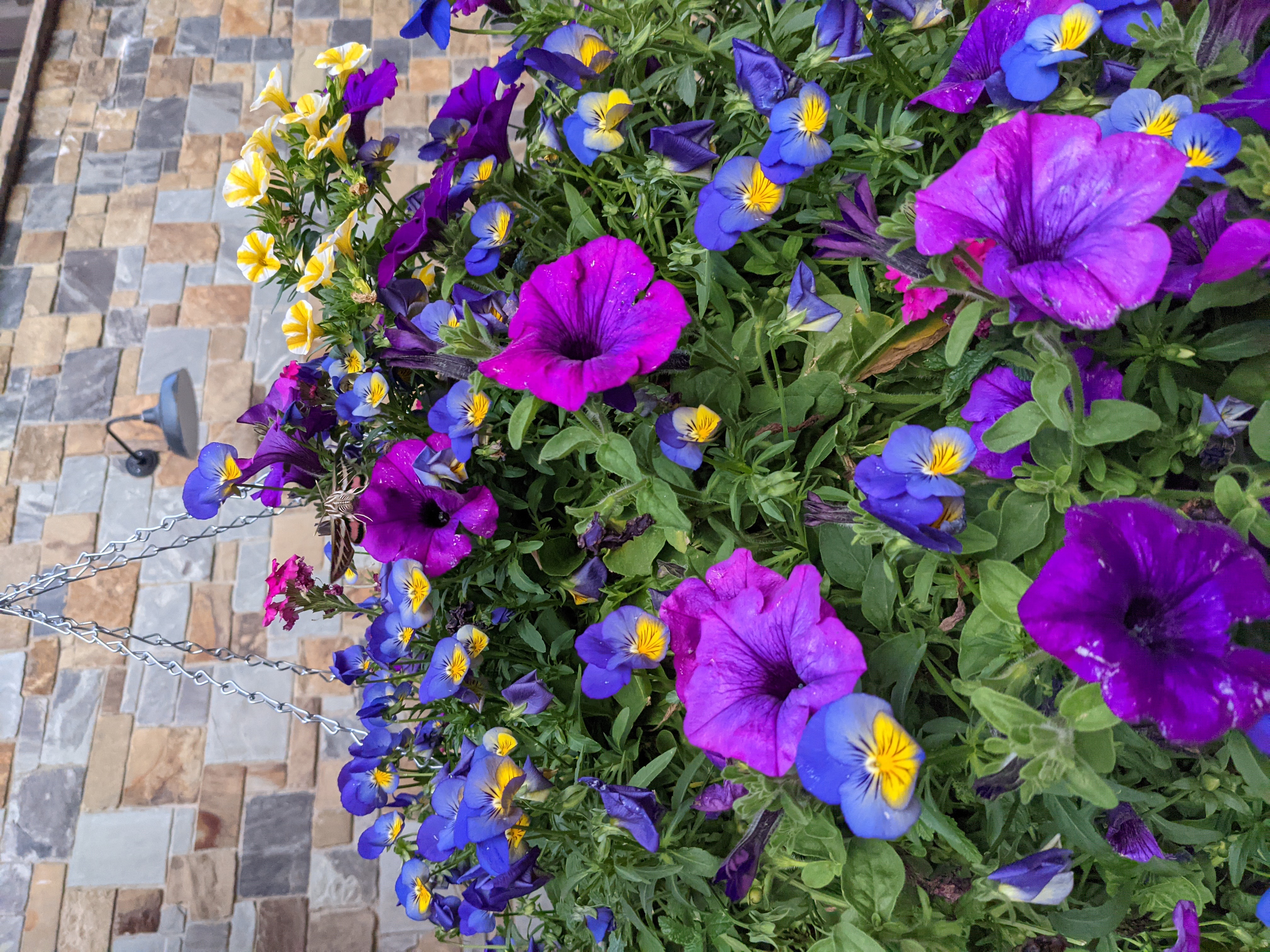 PXL 20210809 011928315