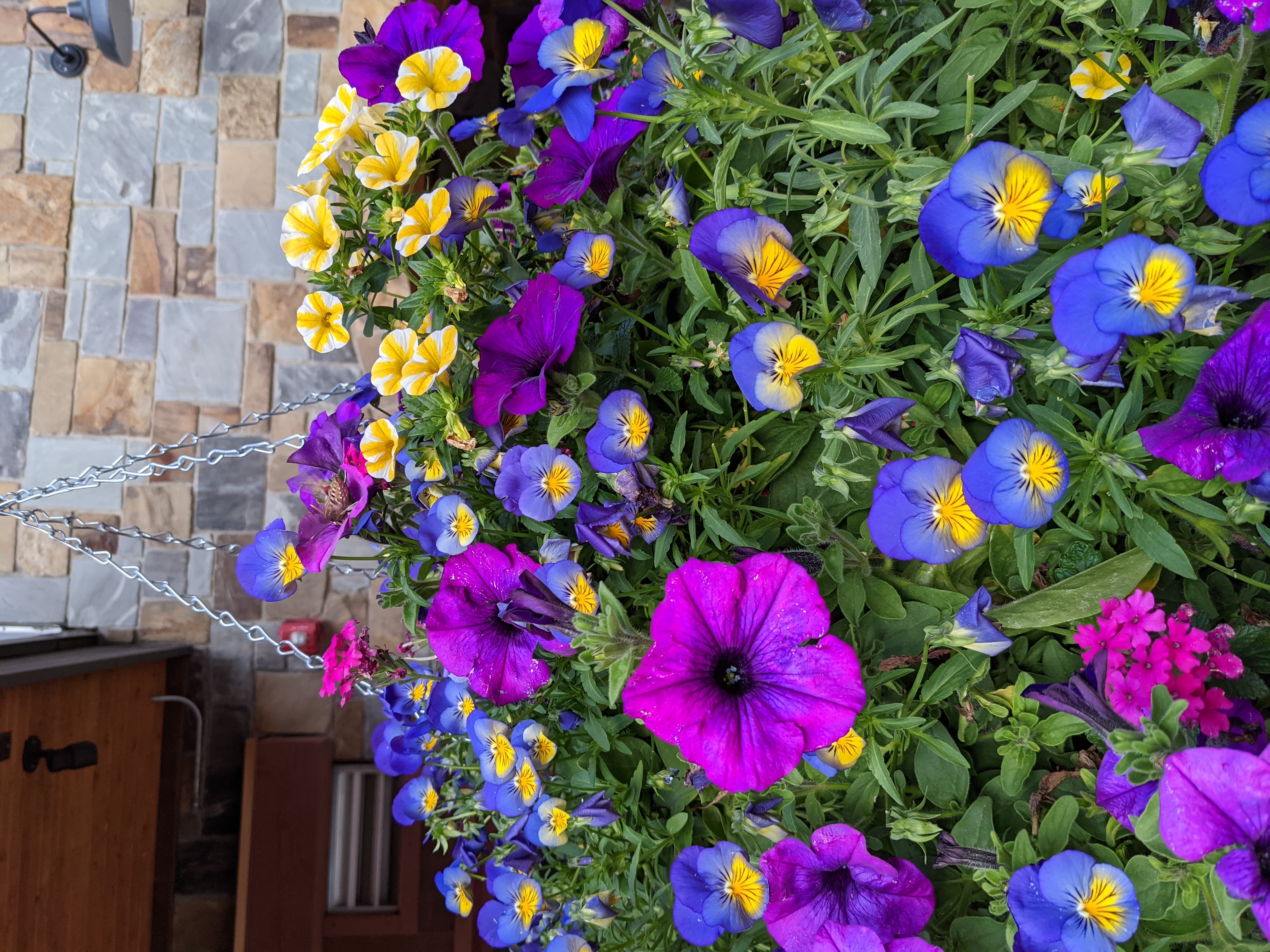 PXL 20210809 011931661