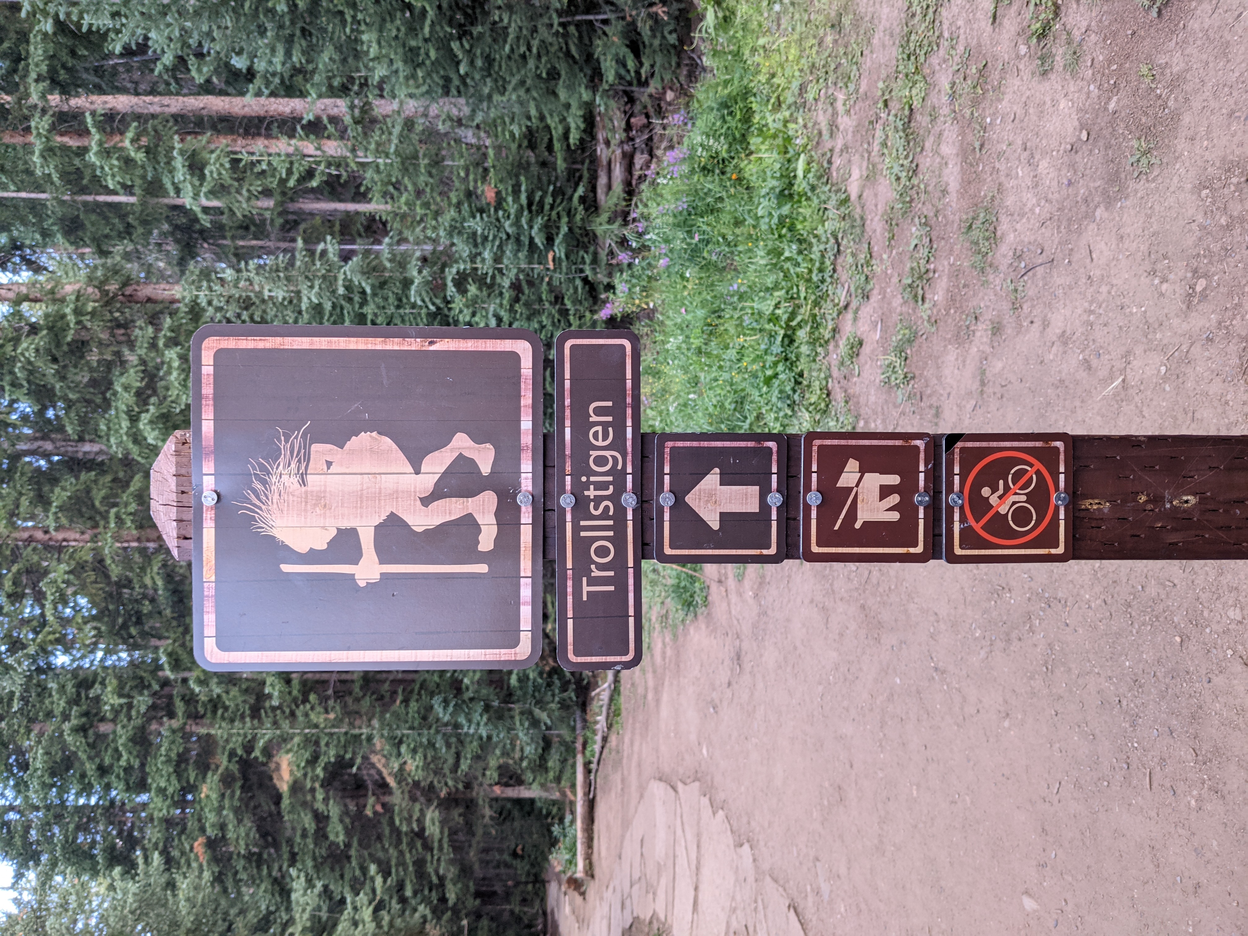 PXL 20210810 012238164