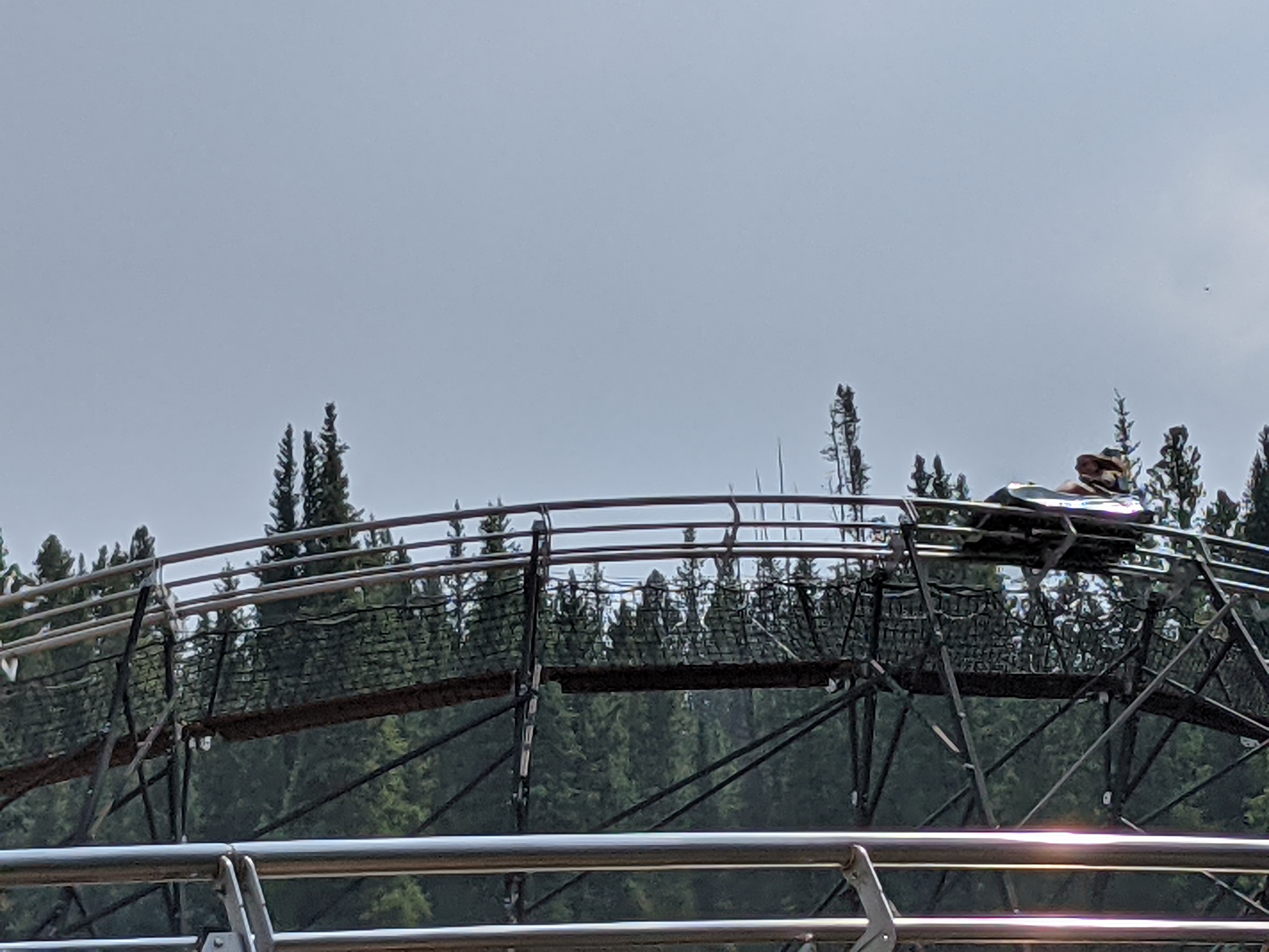 PXL 20210810 205717398