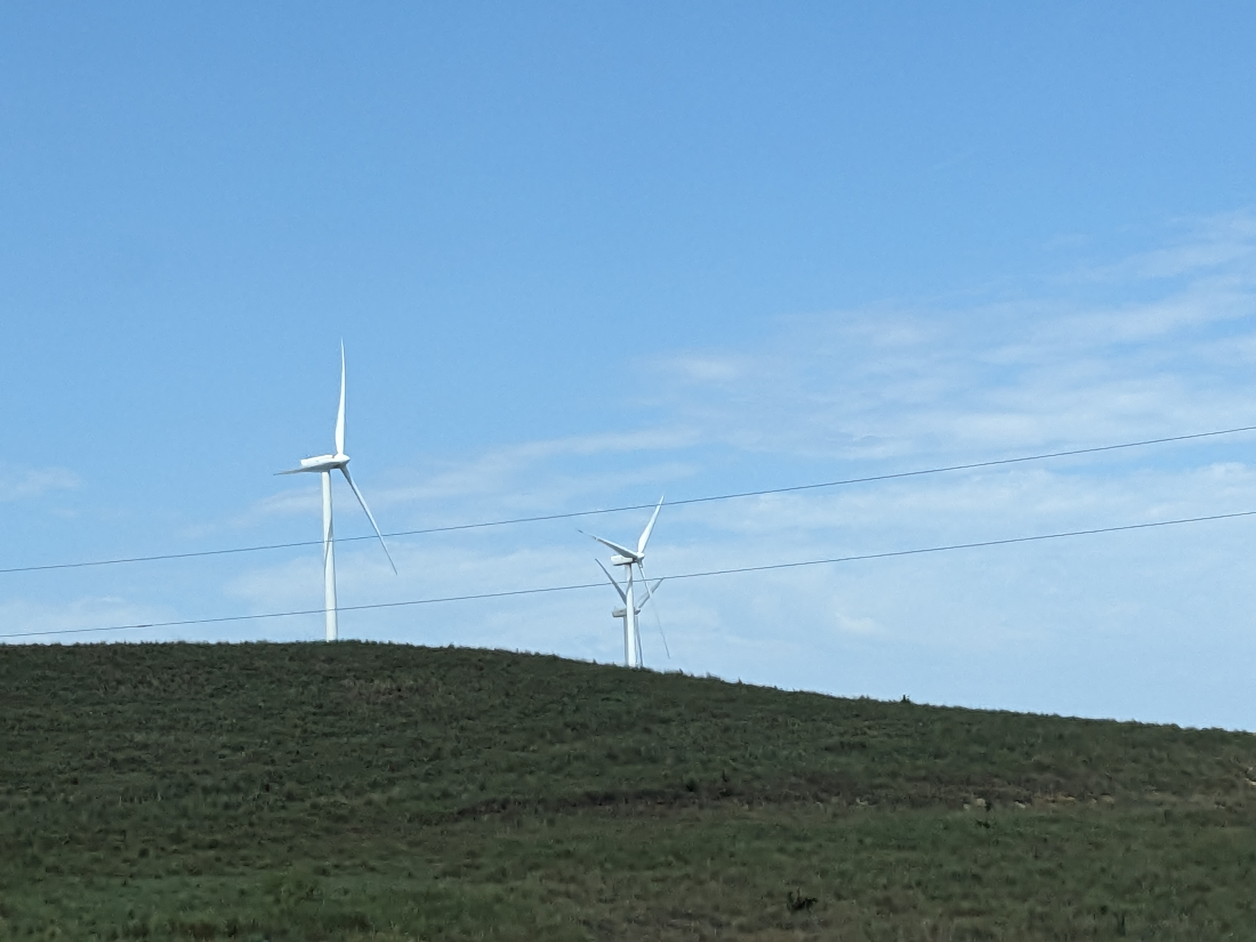 PXL 20230802 164755350