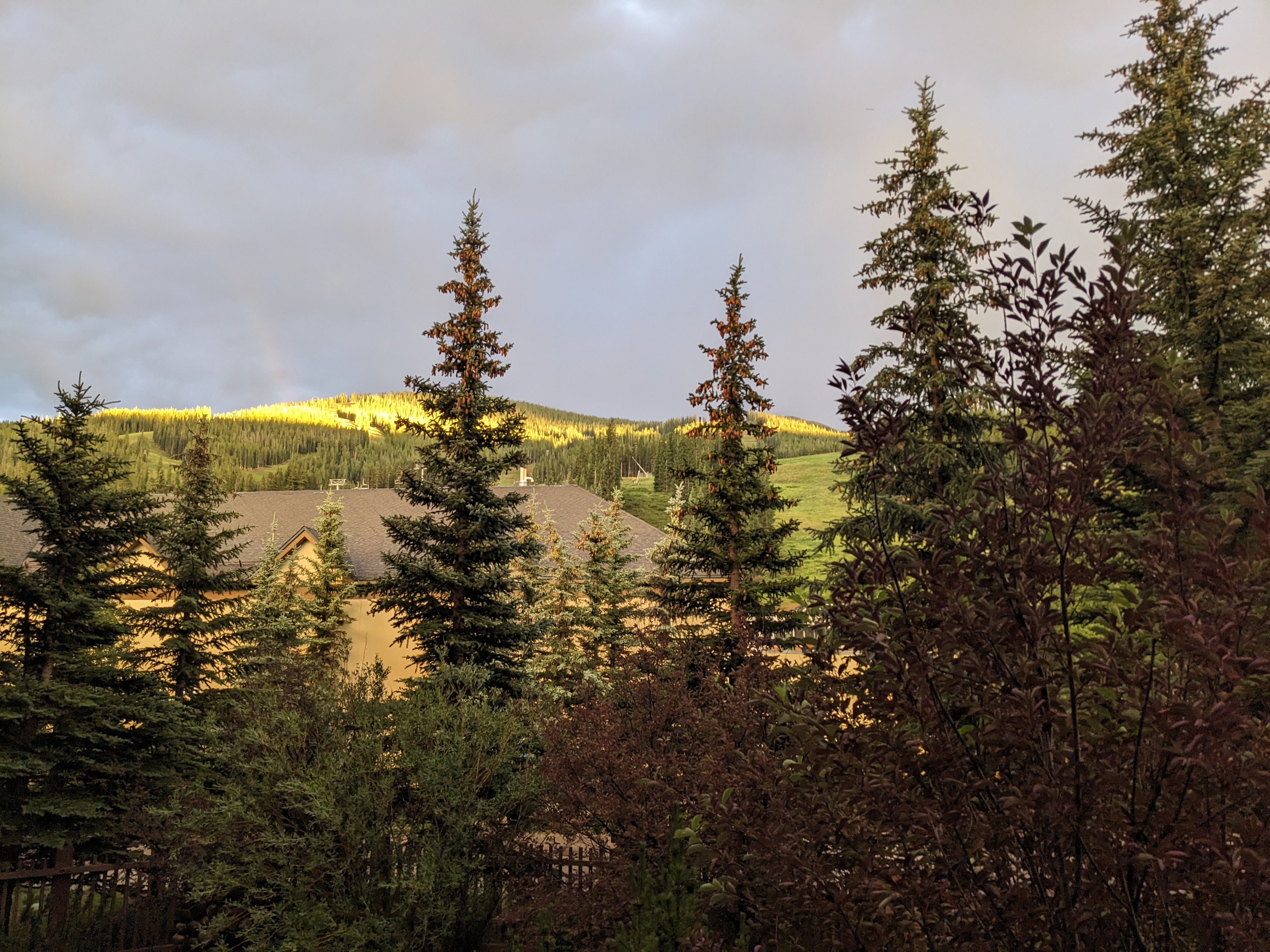 PXL 20230803 020037169