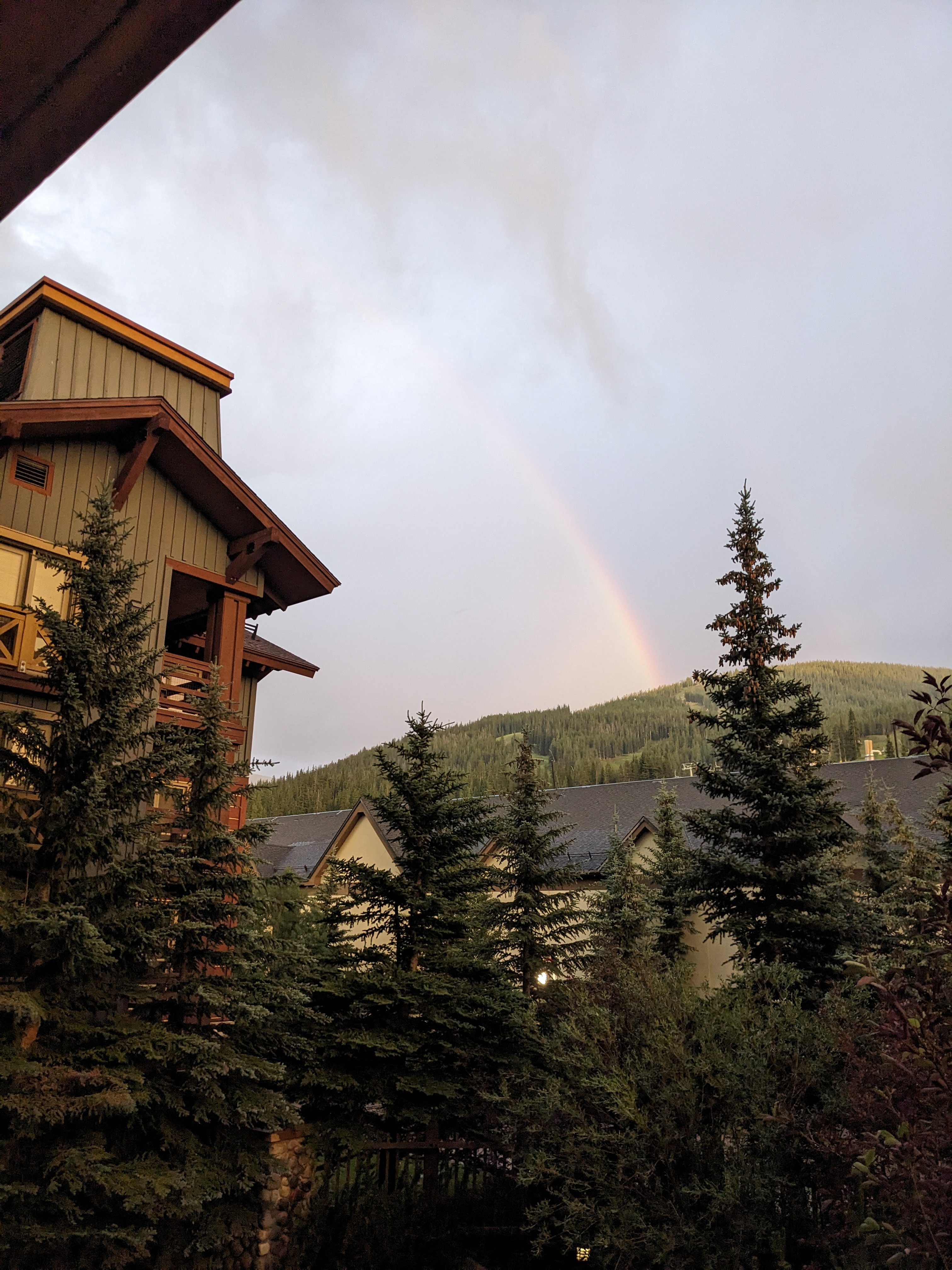 PXL 20230803 020536997