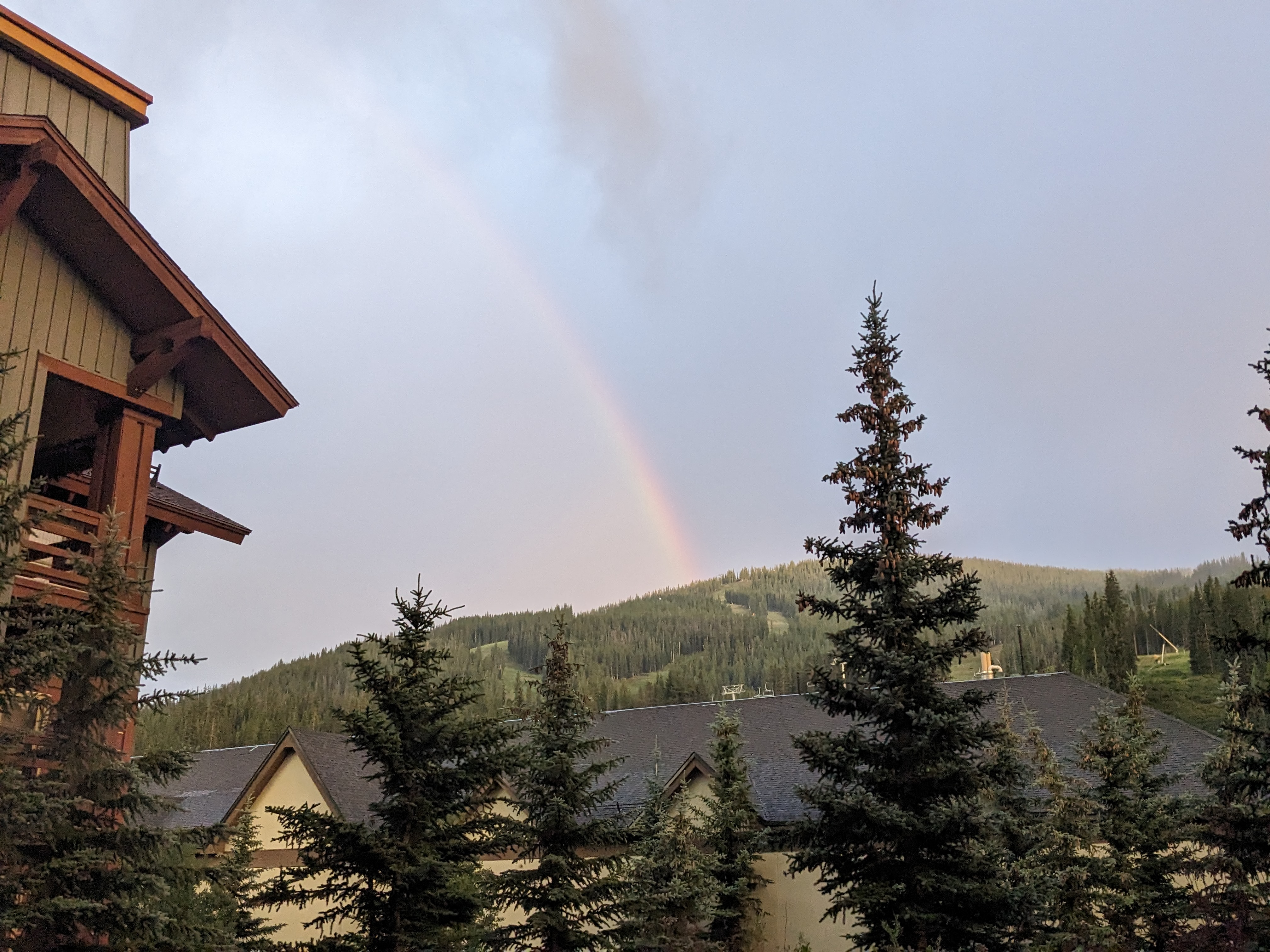 PXL 20230803 020552852