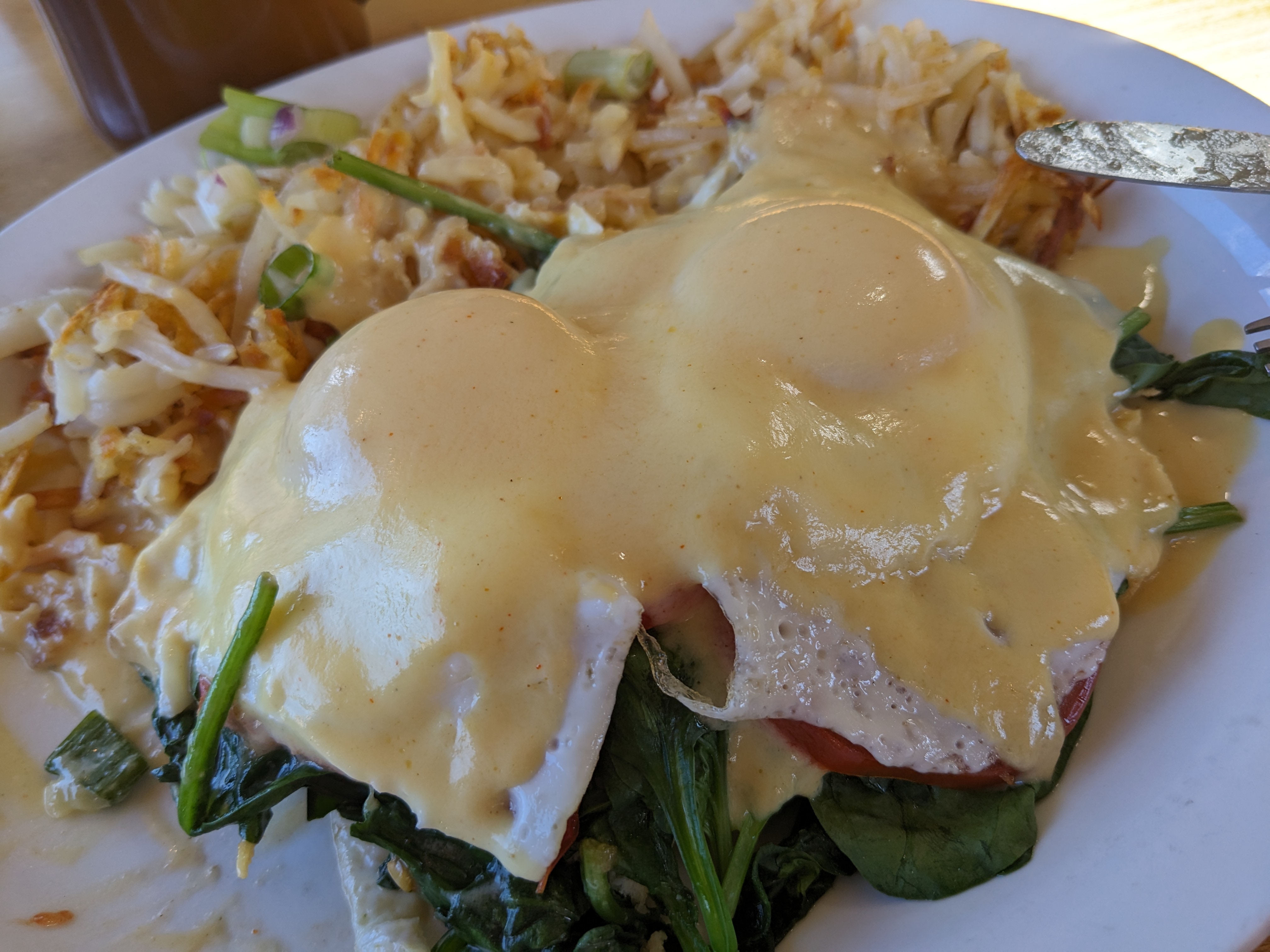 PXL 20230803 152254766