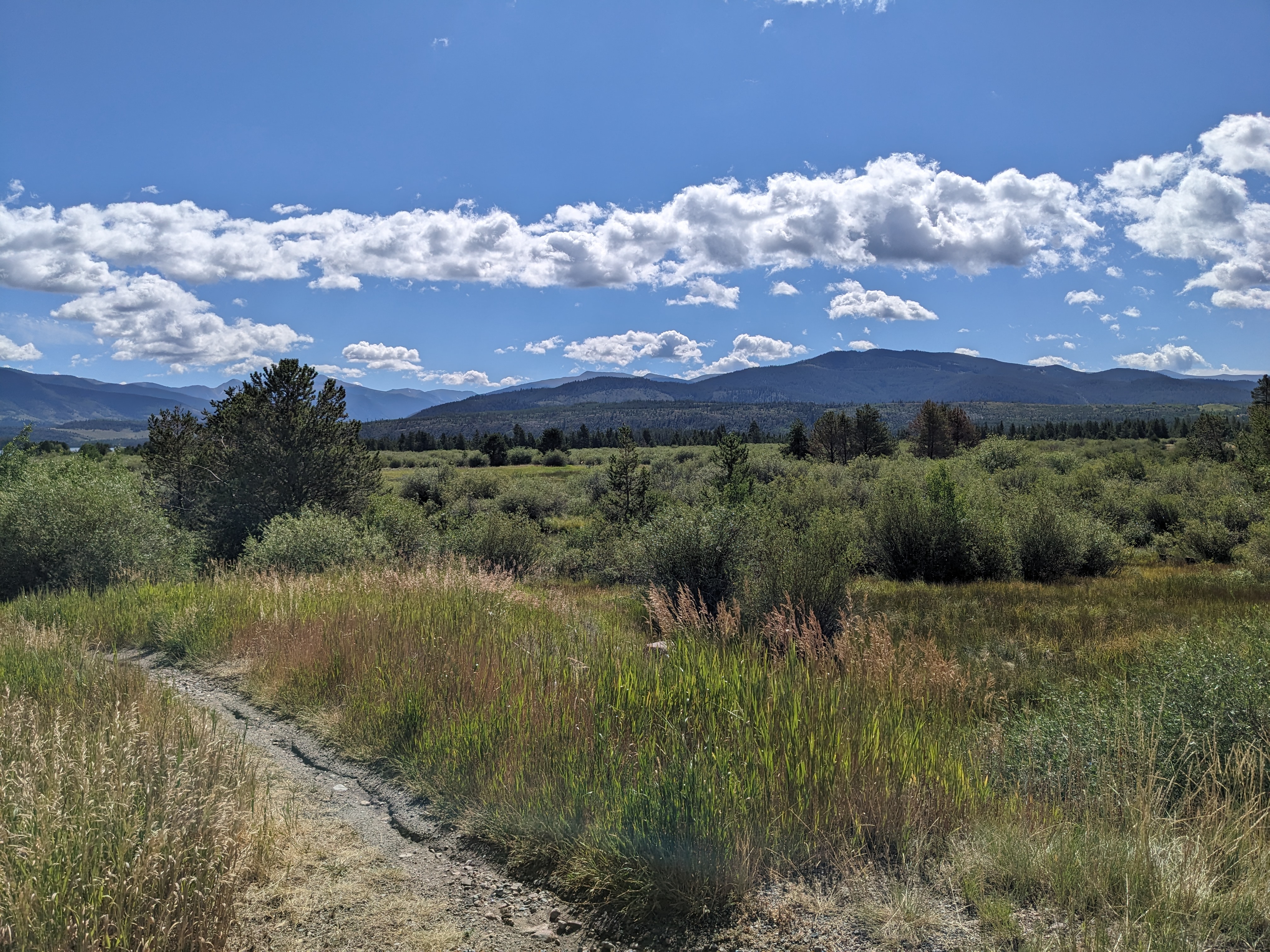 PXL 20230803 160356285