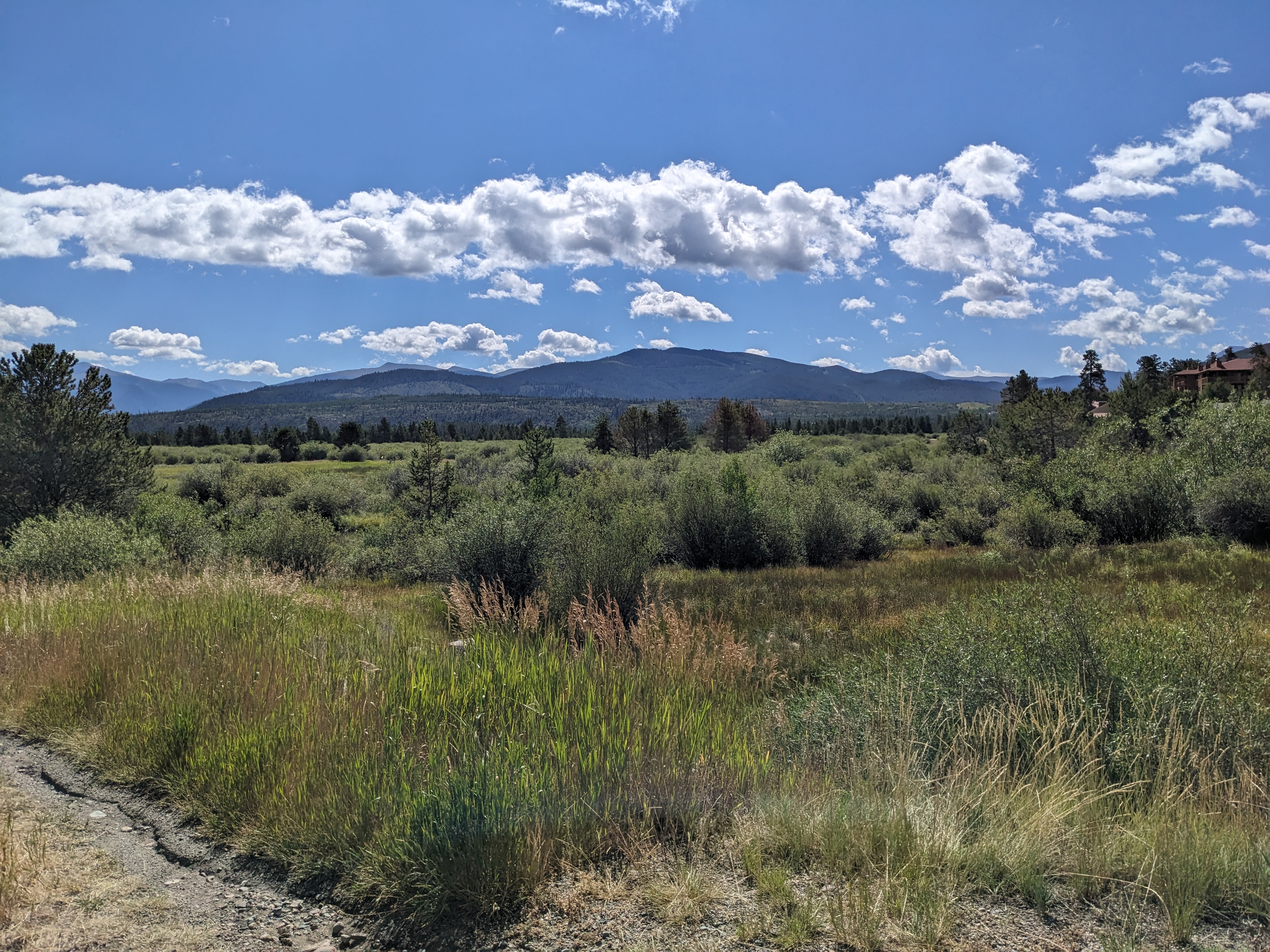 PXL 20230803 160404298