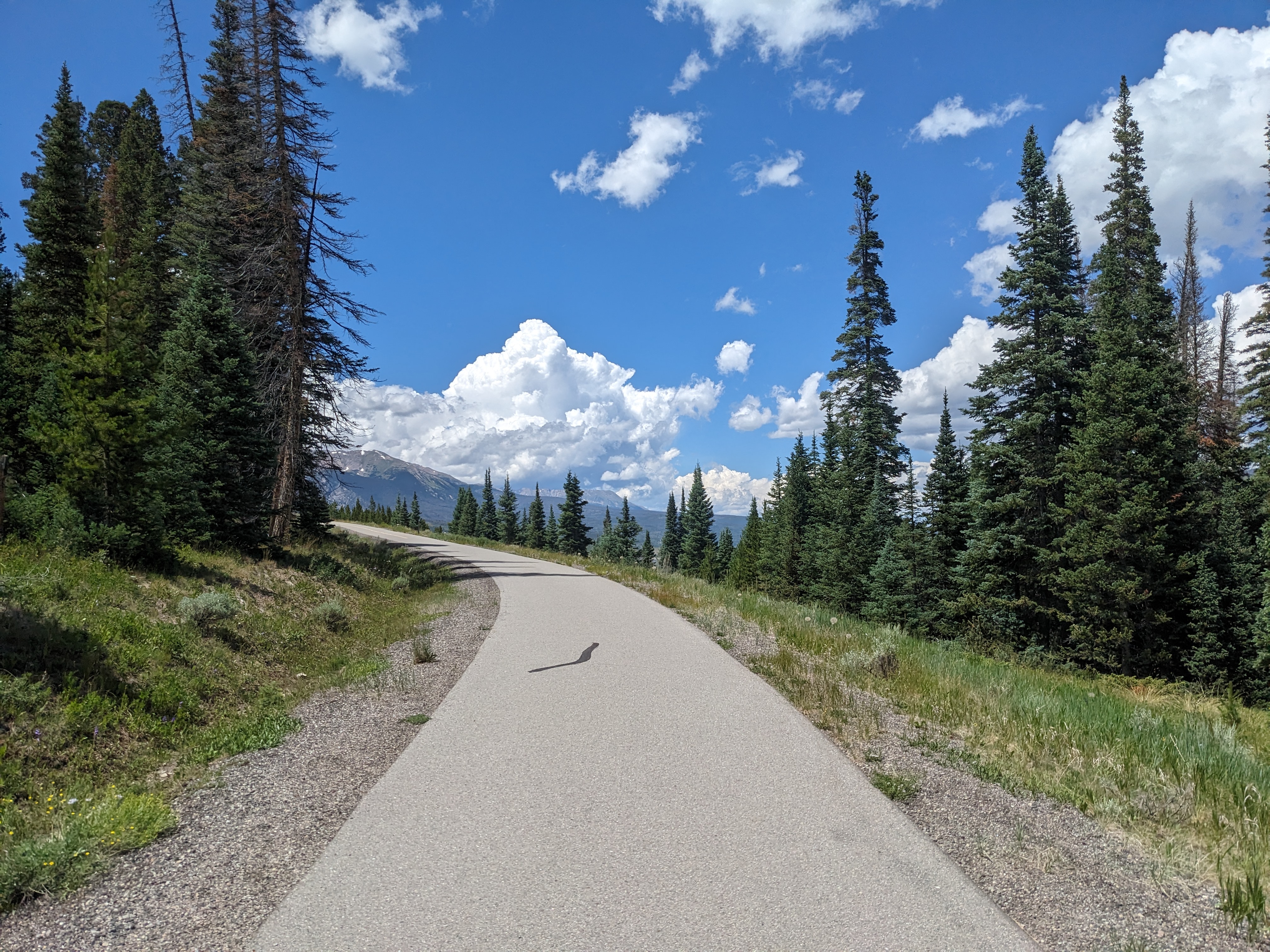 PXL 20230803 194359625