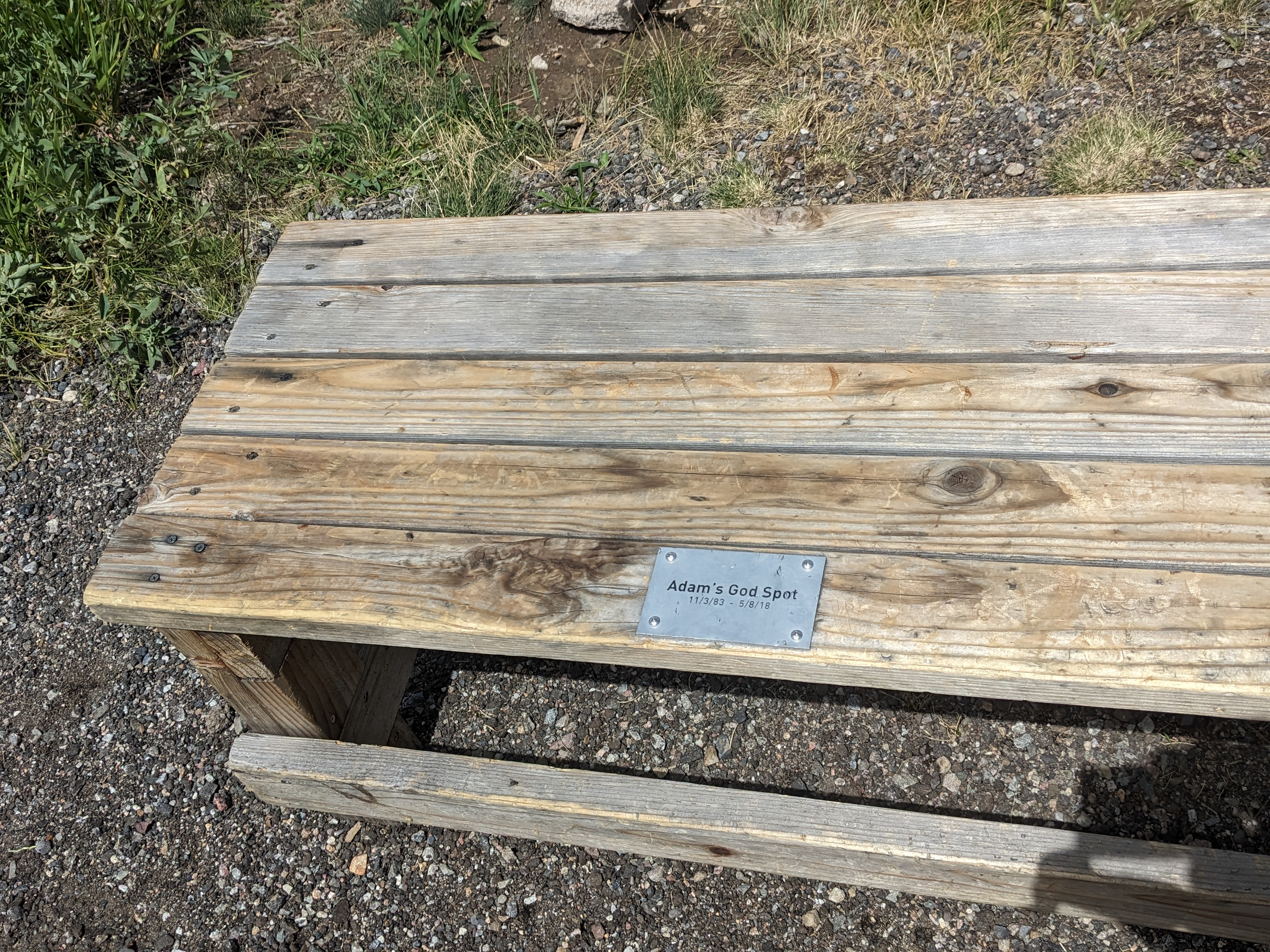 PXL 20230803 194541364