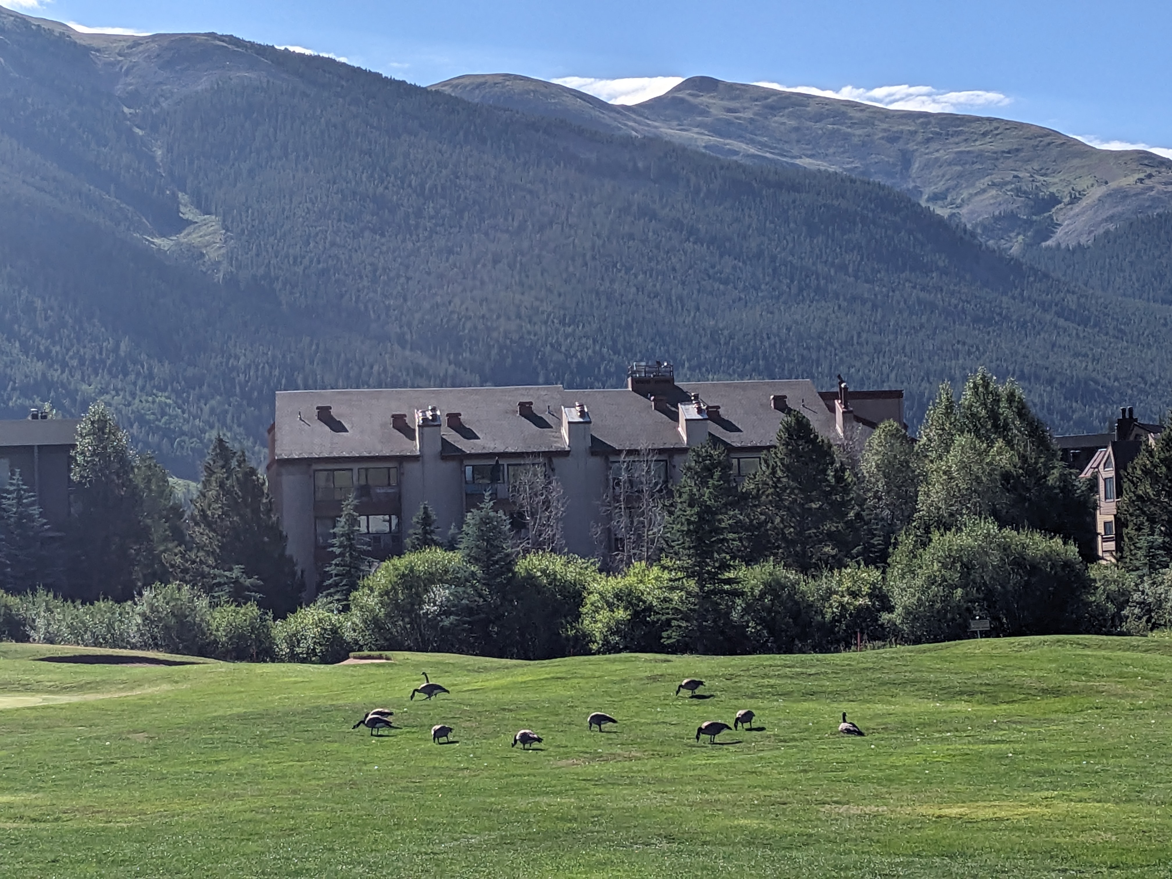 PXL 20230804 151524955