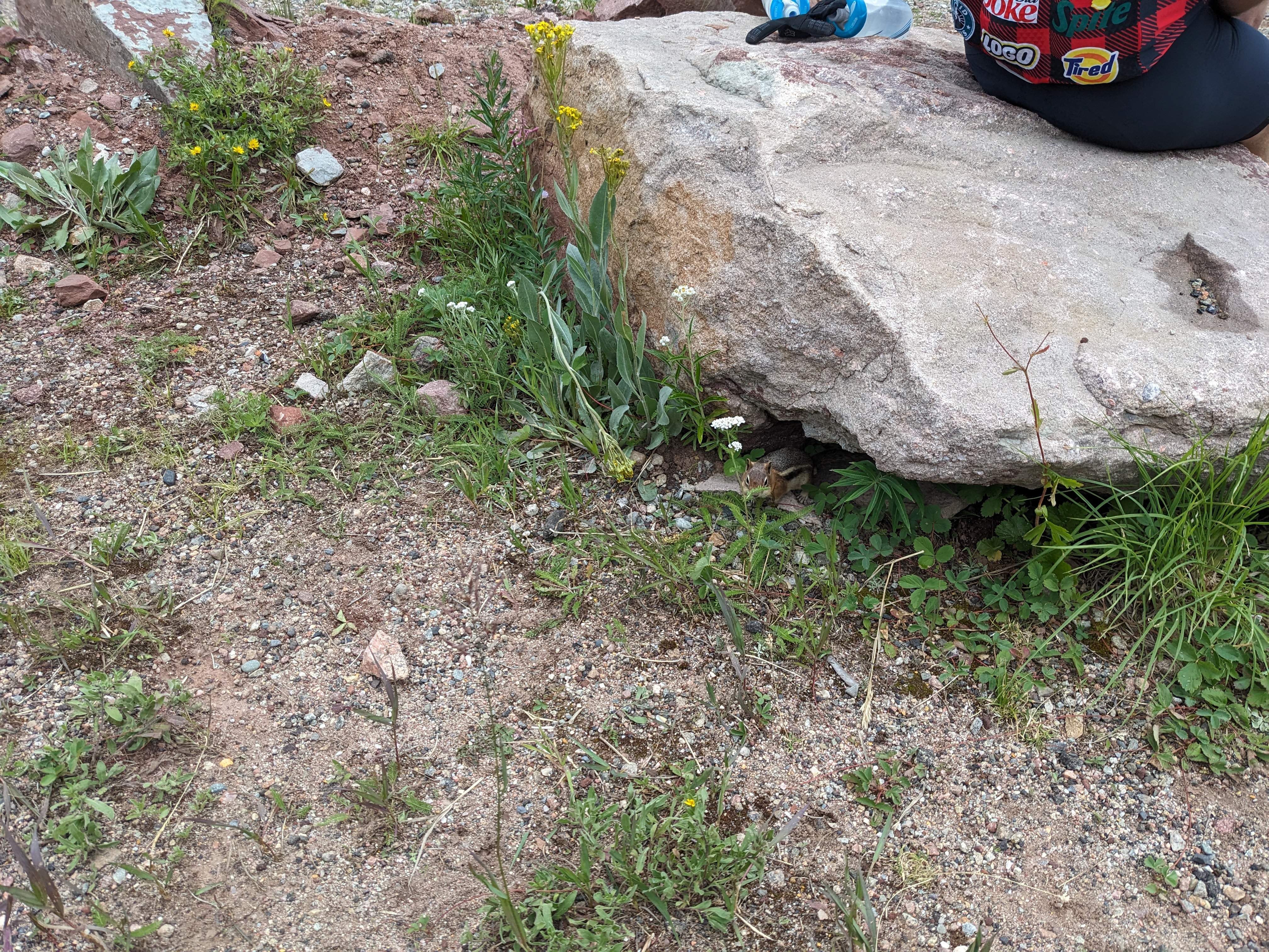 PXL 20230805 204806091.MP