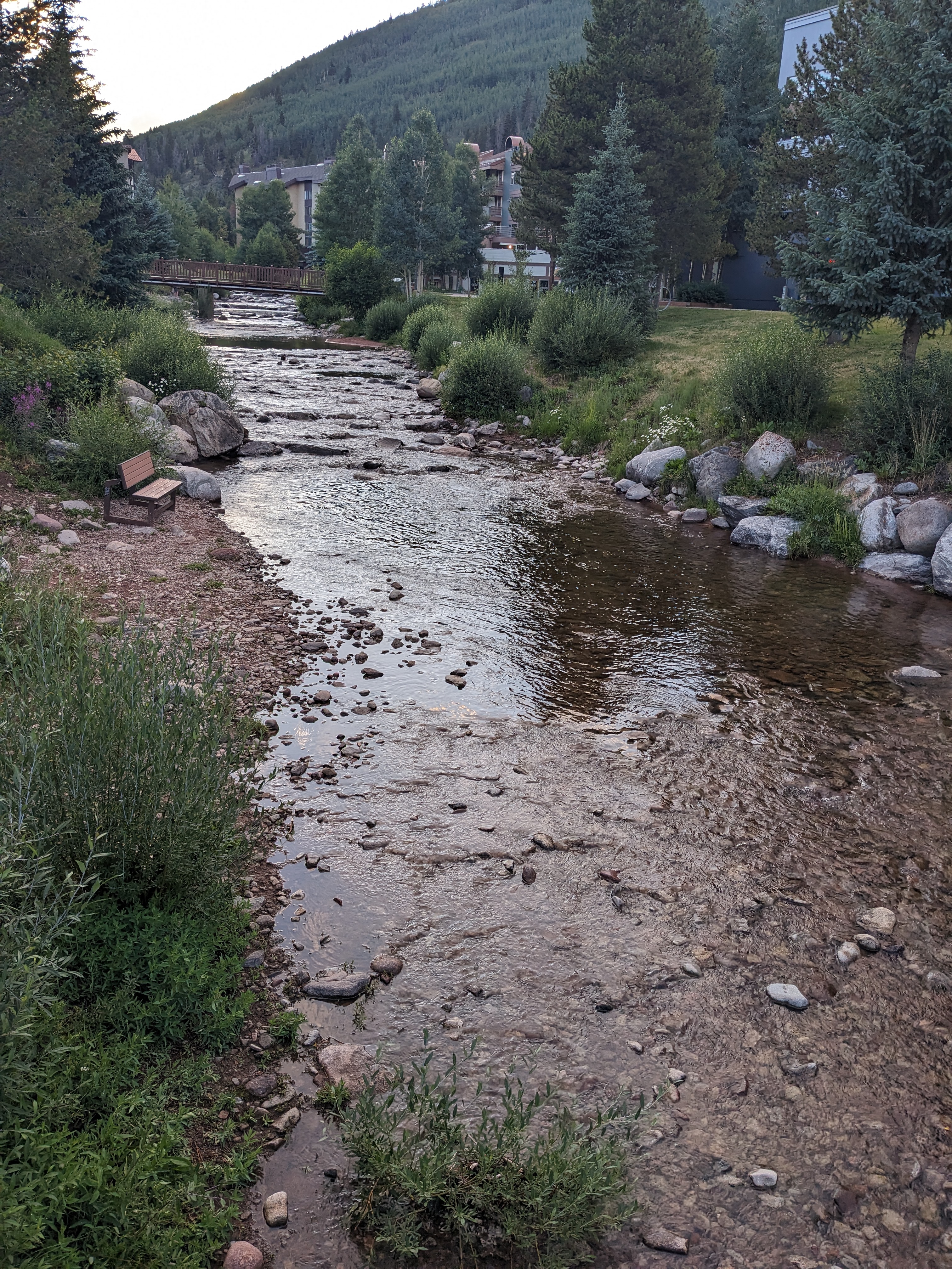 PXL 20230806 015602974