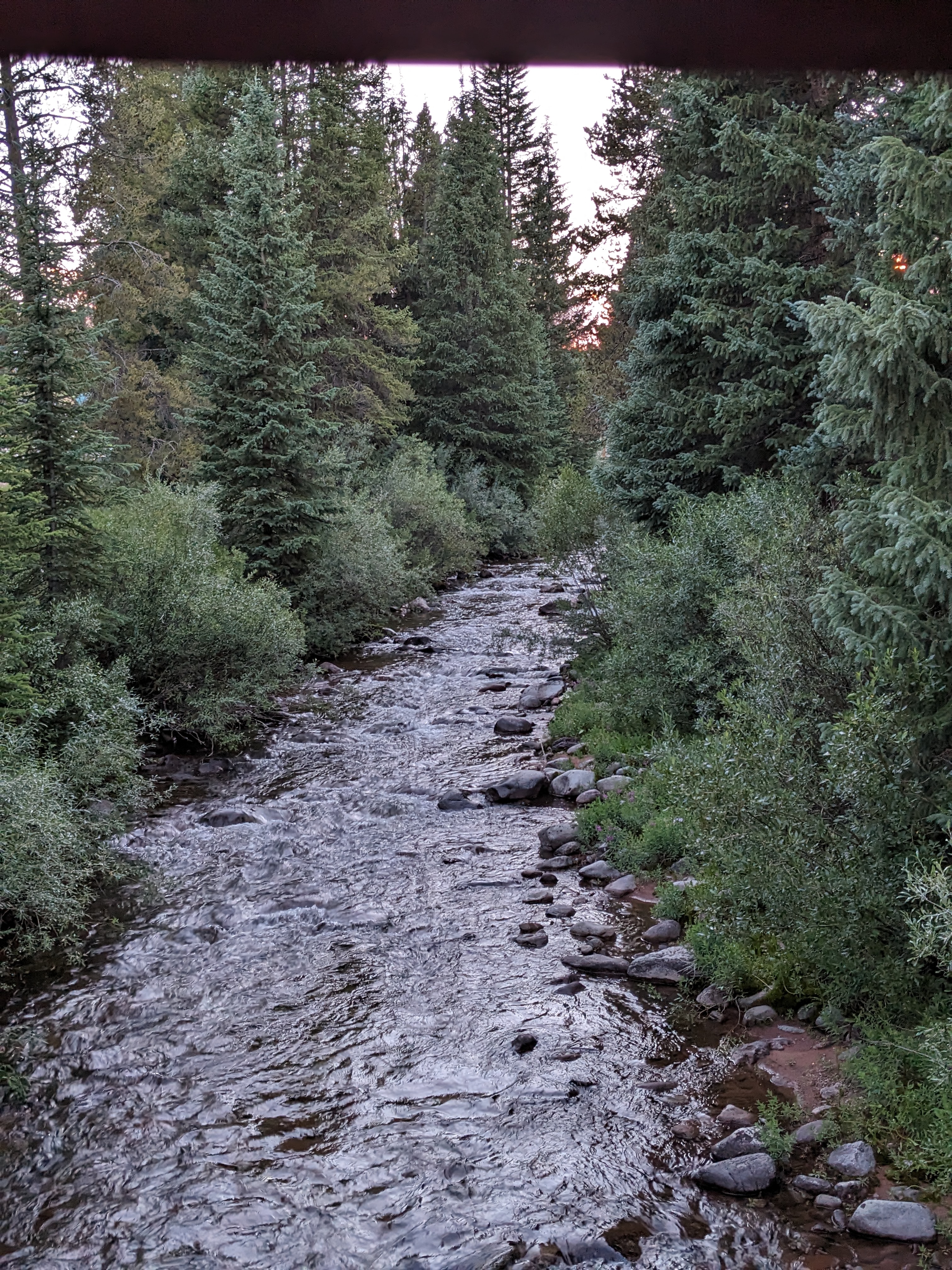 PXL 20230806 021410784