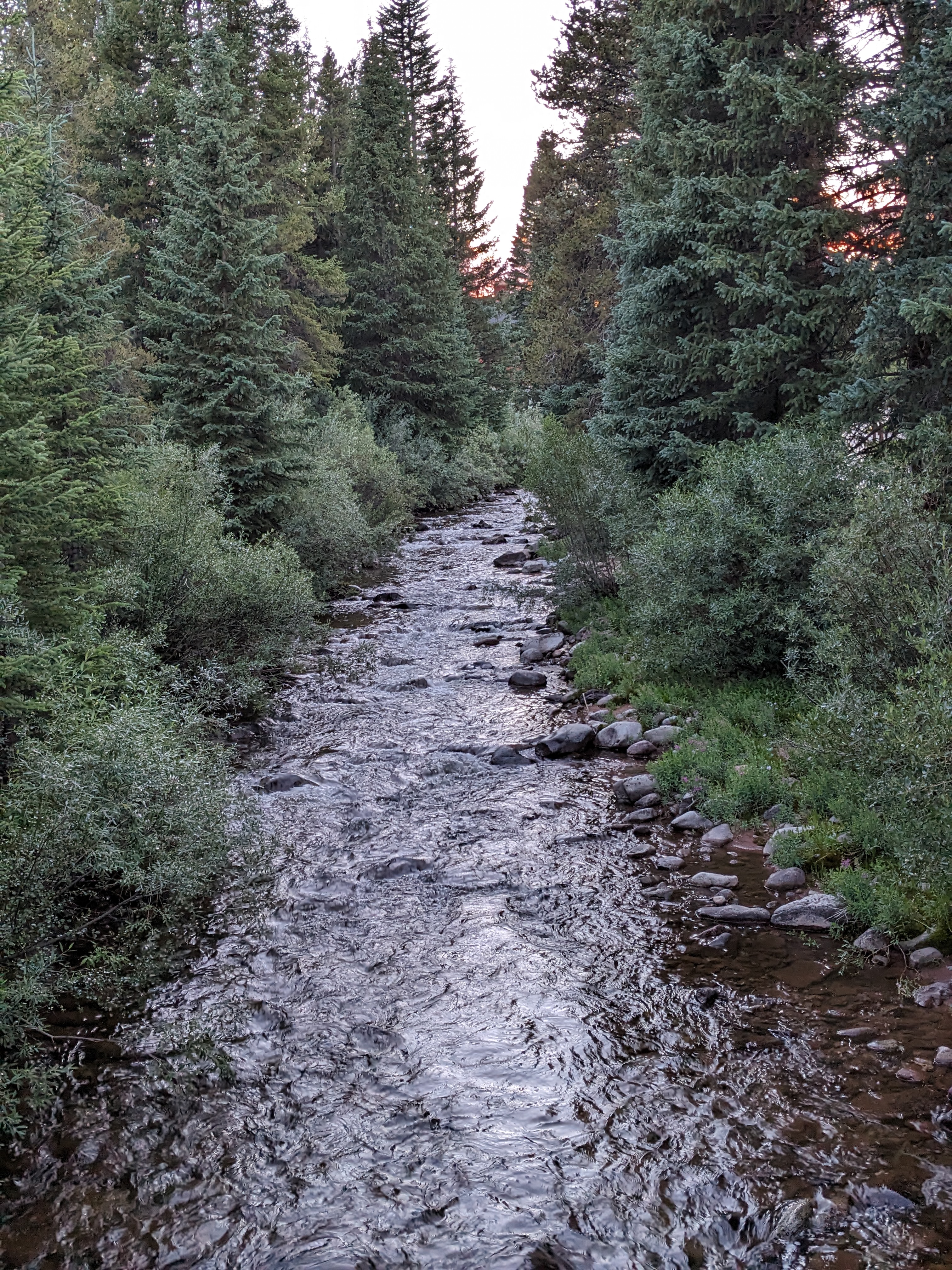 PXL 20230806 021420519