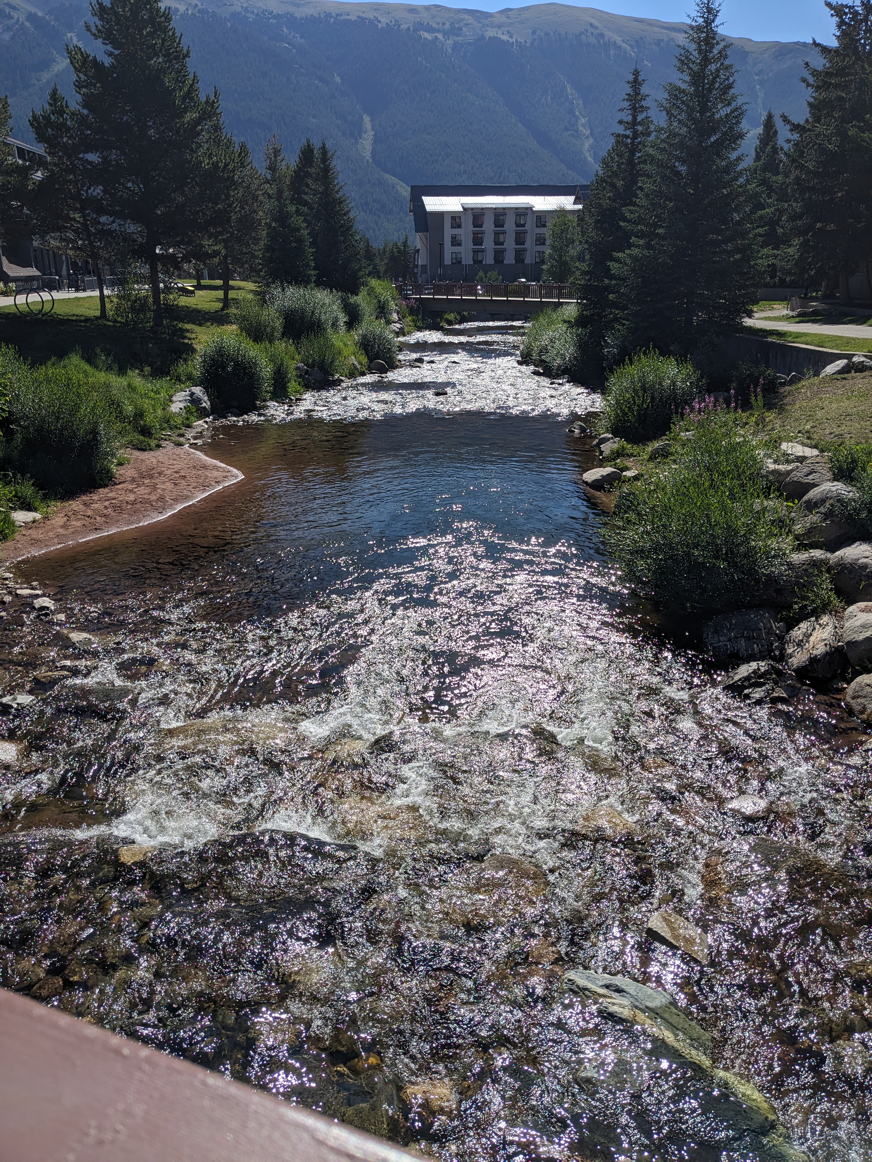 PXL 20230806 153847893