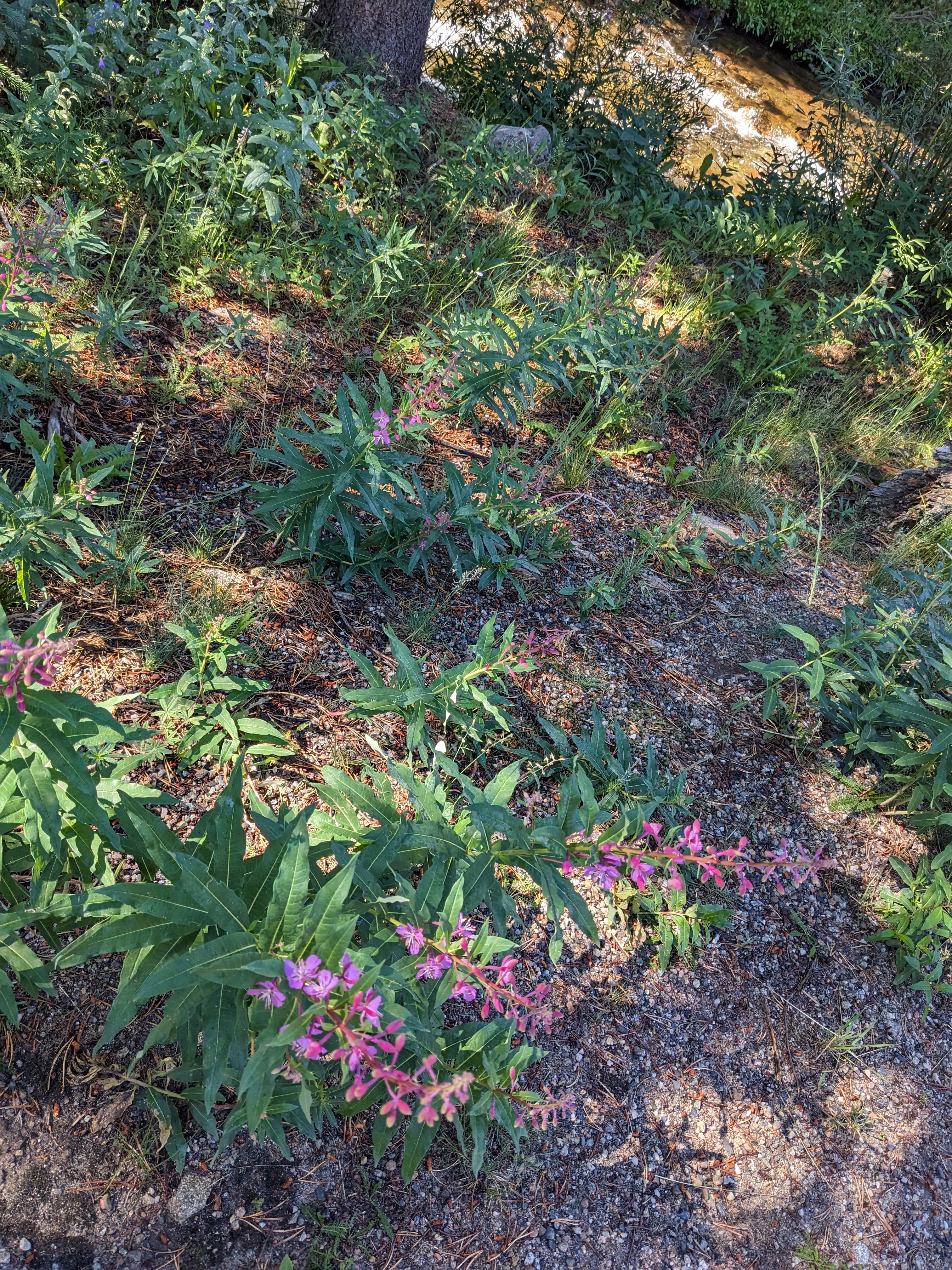 PXL 20230806 154729765