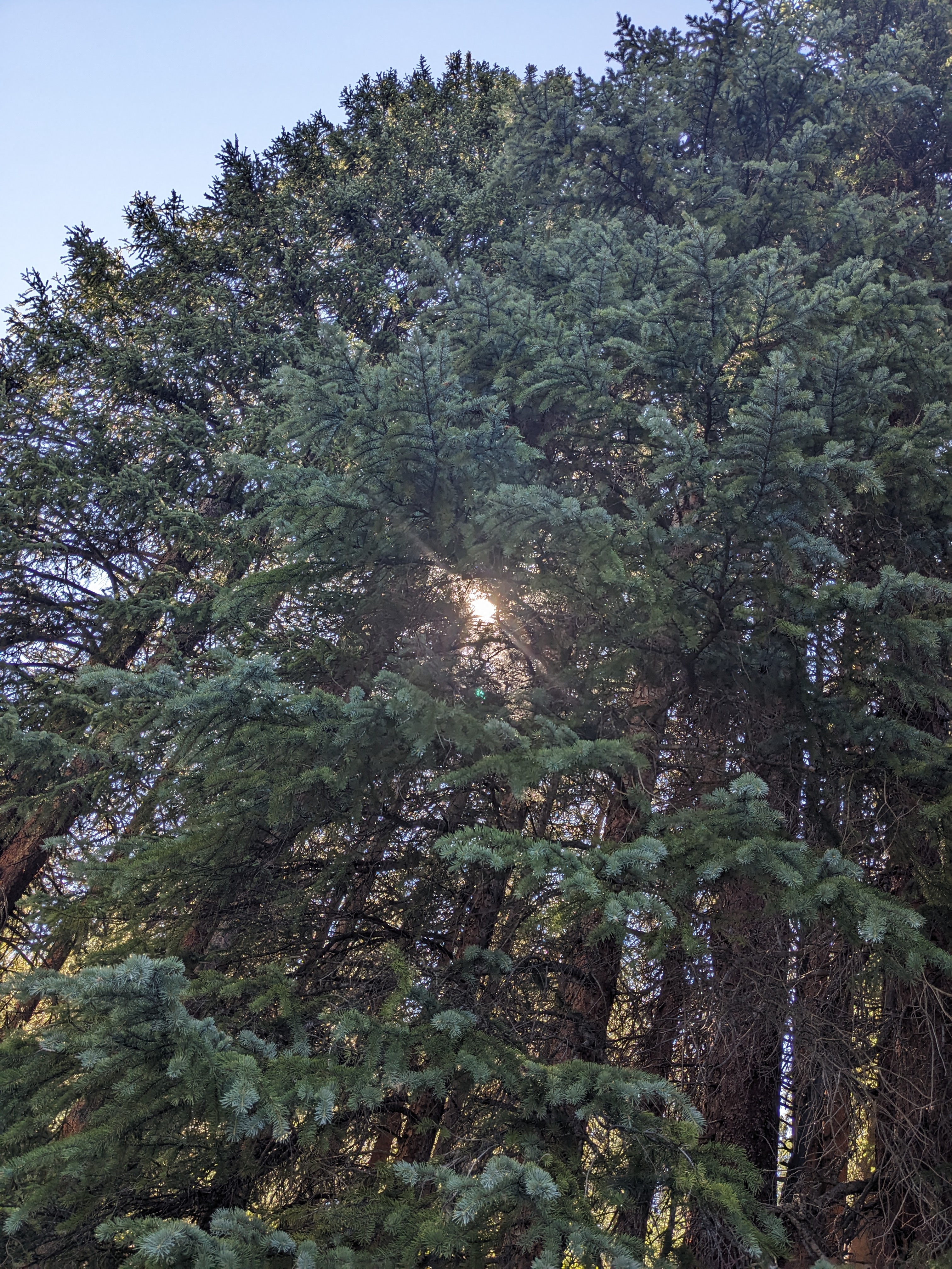 PXL 20230806 155606104