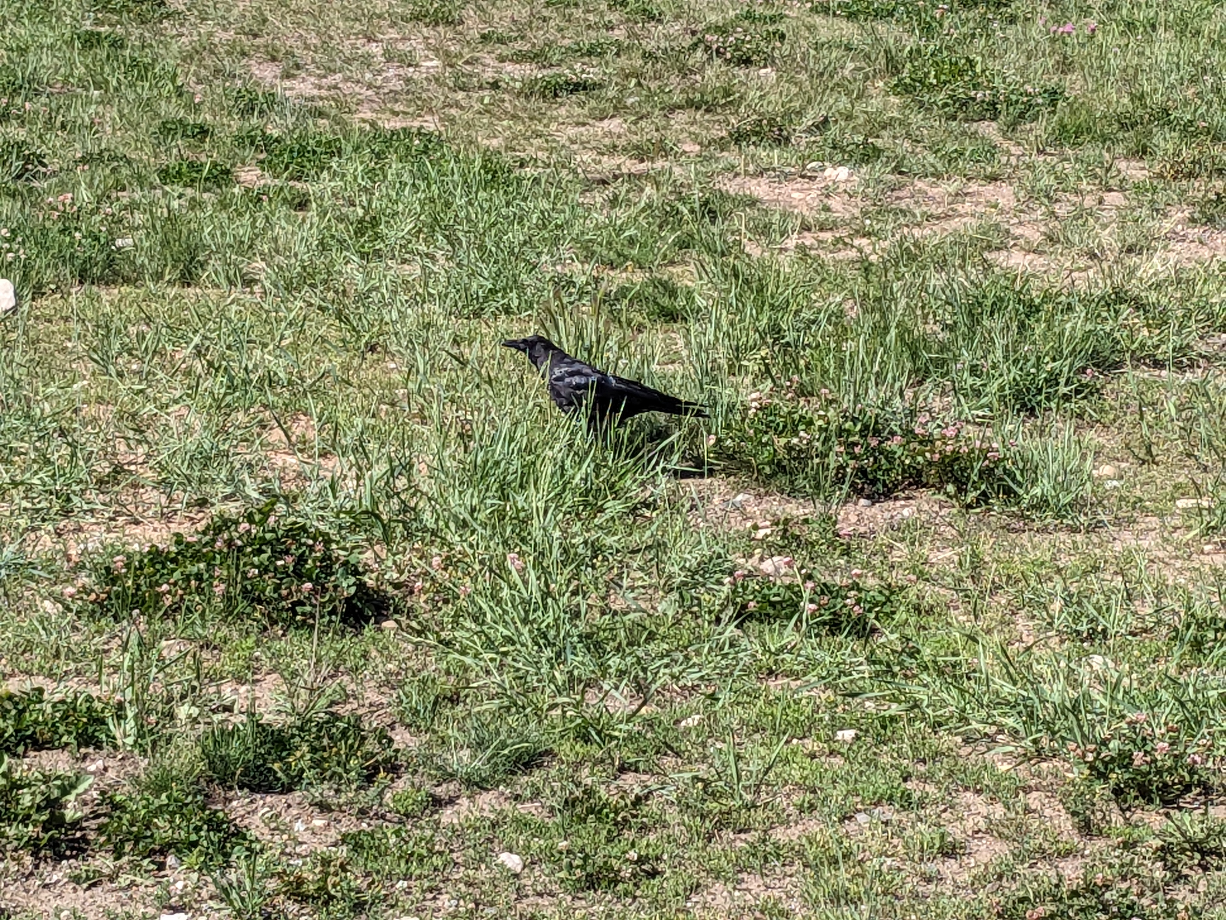 PXL 20230806 161705137