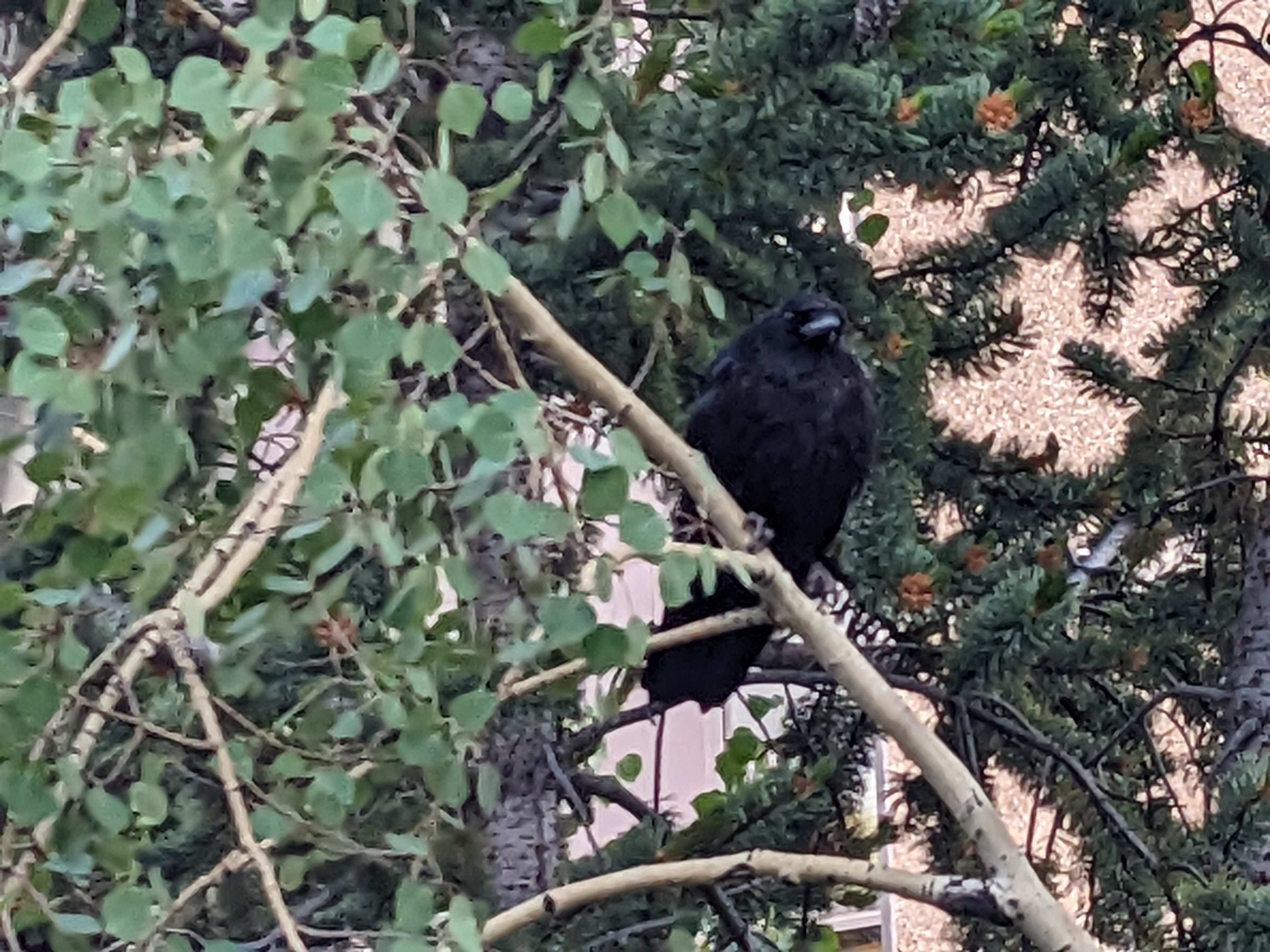 PXL 20230807 004149461